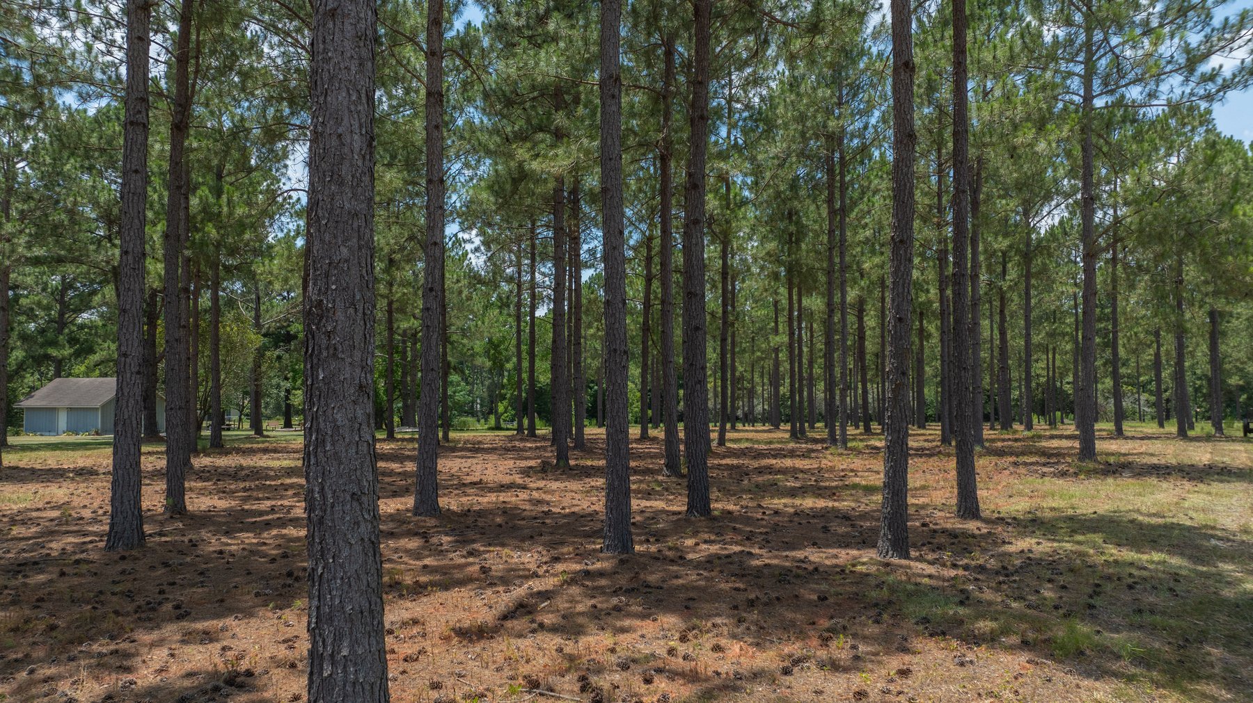 Image for Beautiful 2.34+/- Acre Homesite in Tift County