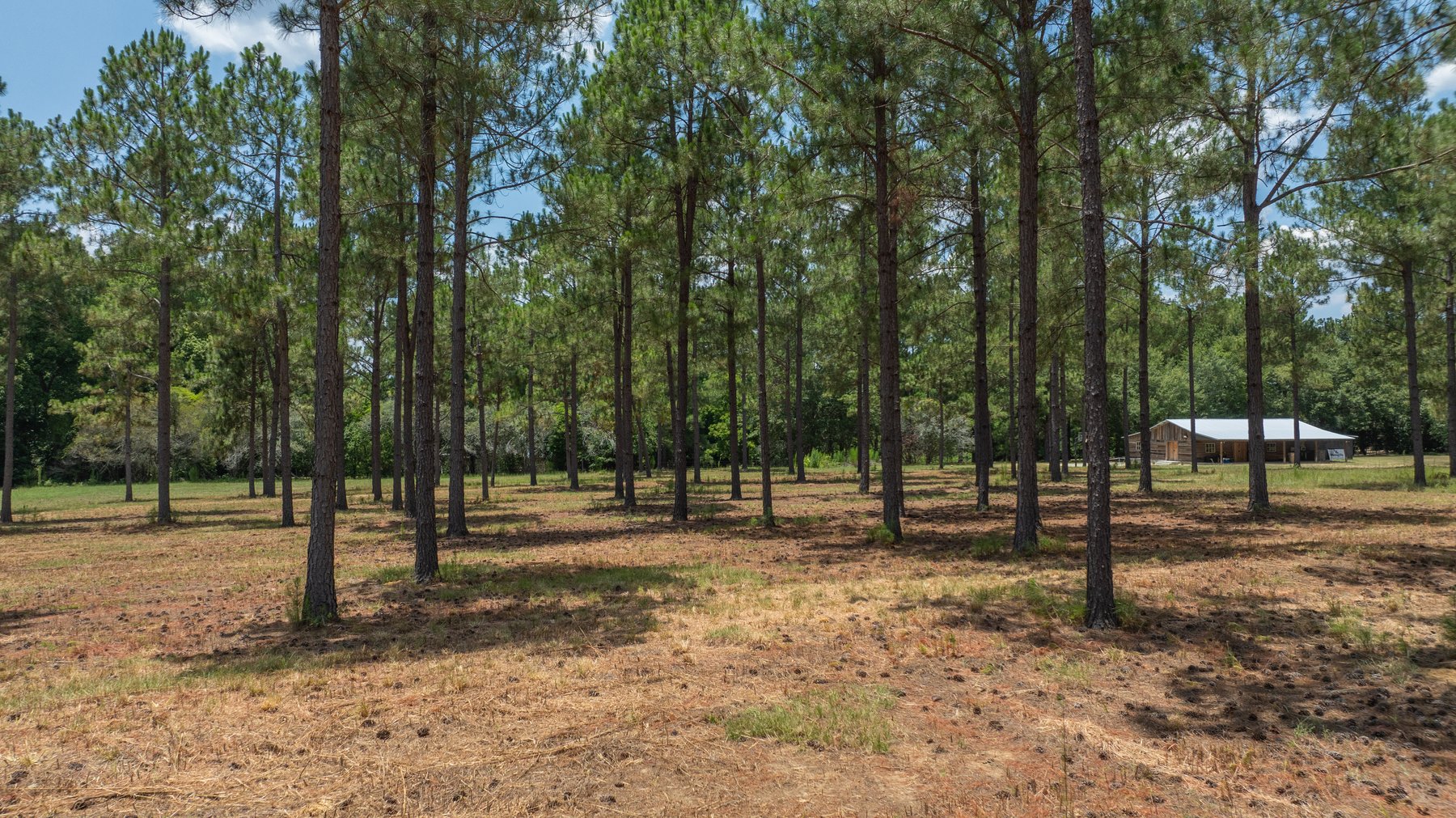 Image for Beautiful 2.34+/- Acre Homesite in Tift County