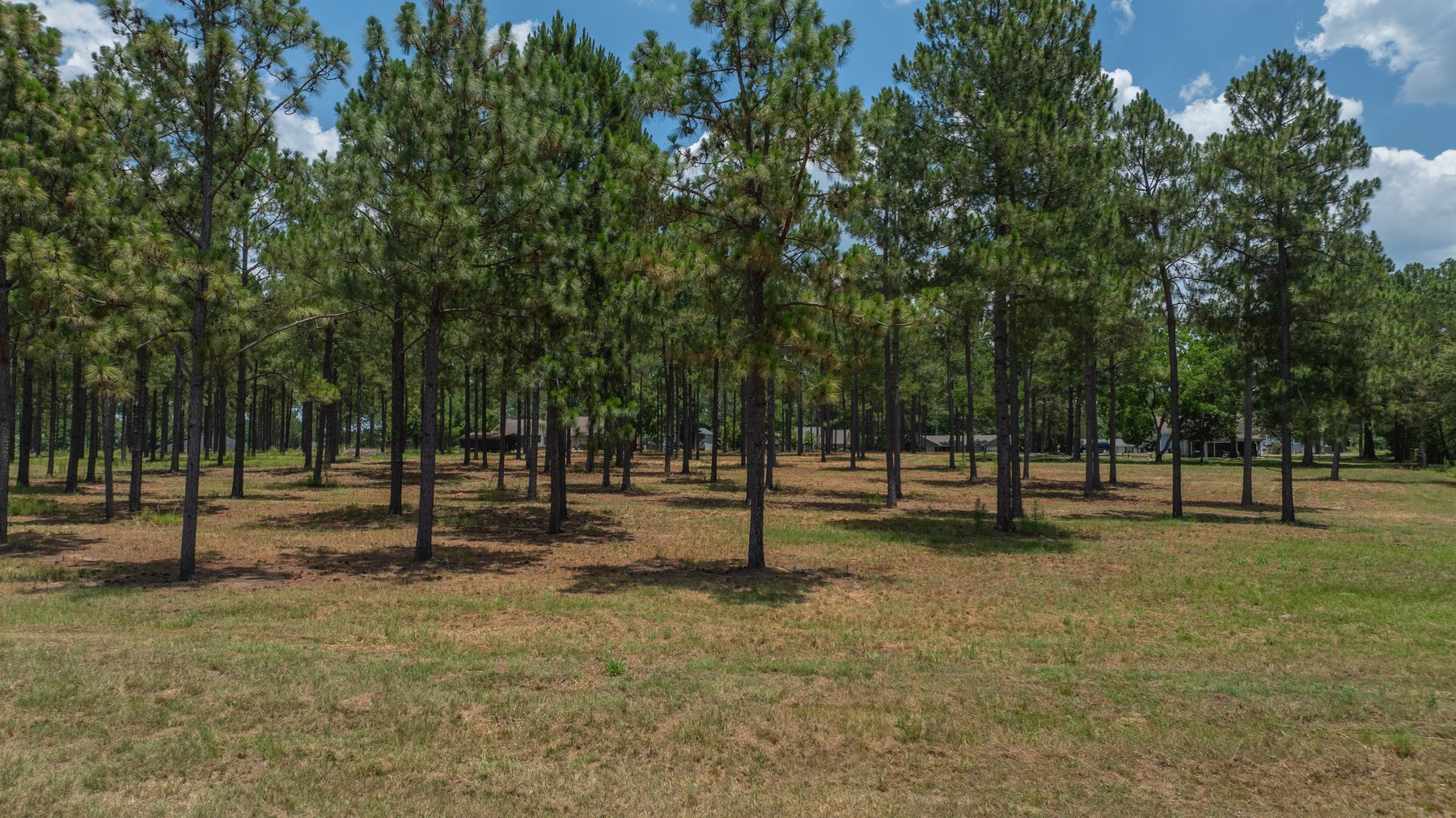 Image for Beautiful 2.34+/- Acre Homesite in Tift County
