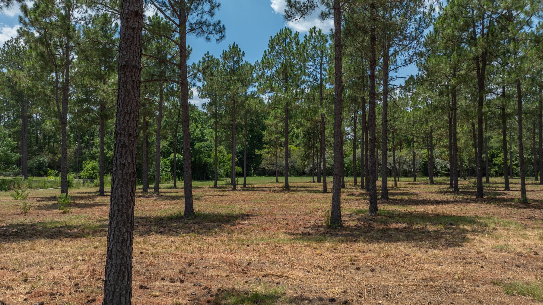Image for Beautiful 2.34+/- Acre Homesite in Tift County