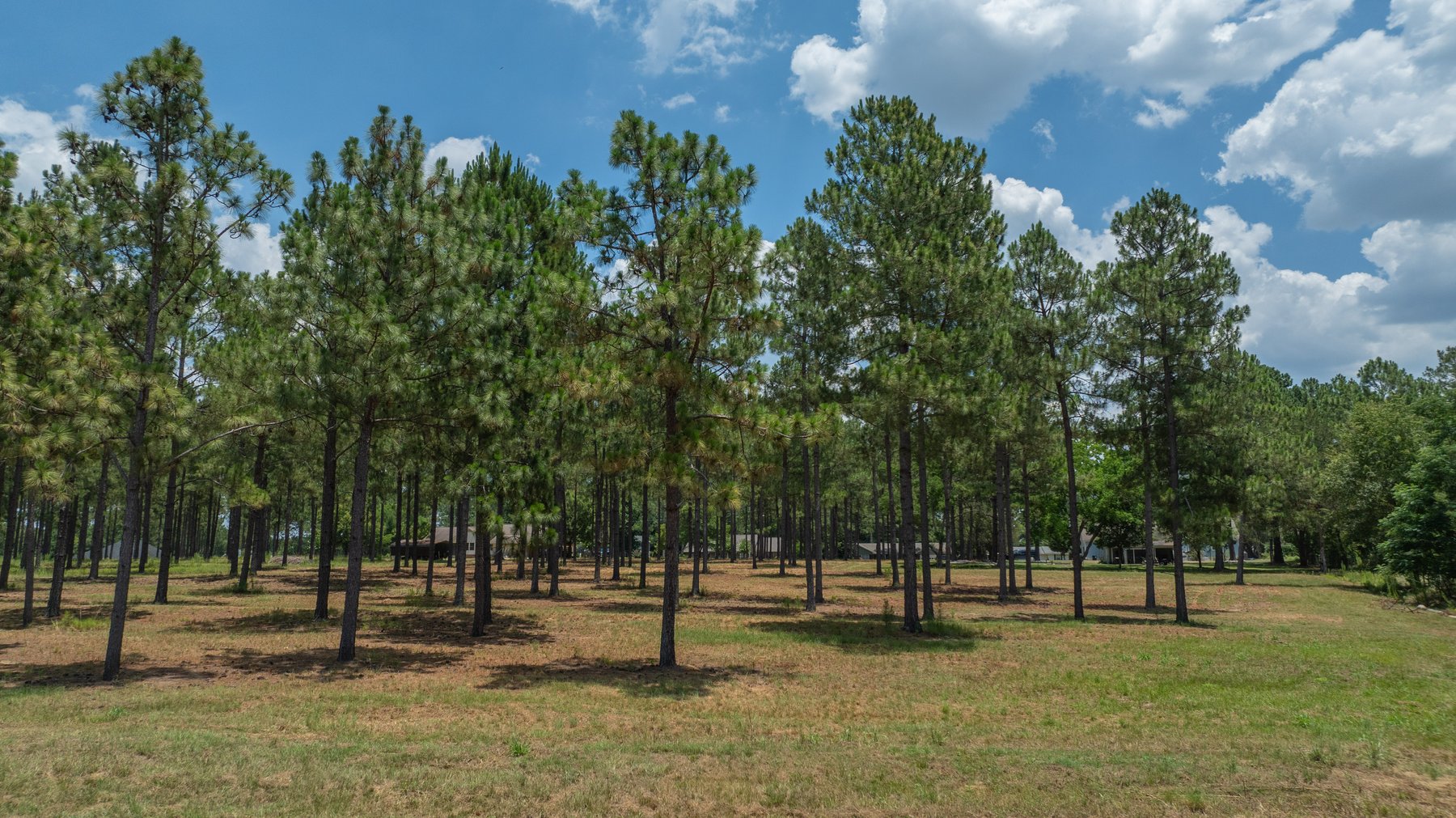 Image for Beautiful 2.34+/- Acre Homesite in Tift County