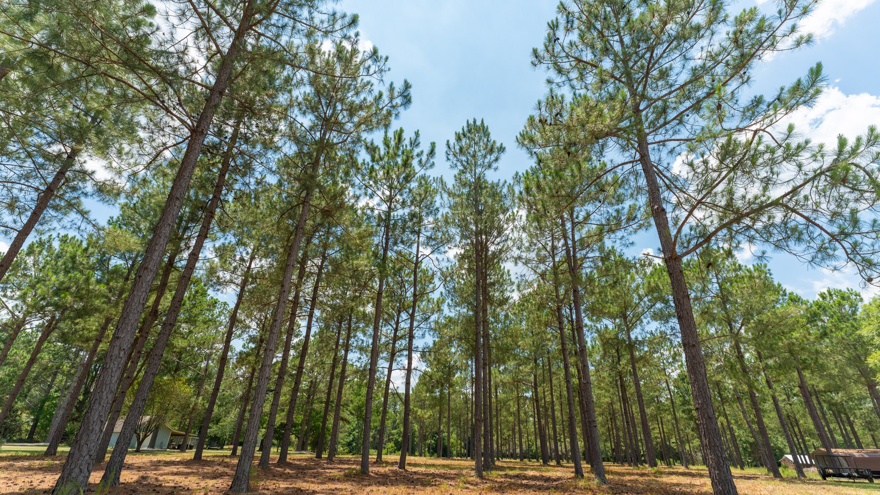 Image for Beautiful 2.34+/- Acre Homesite in Tift County