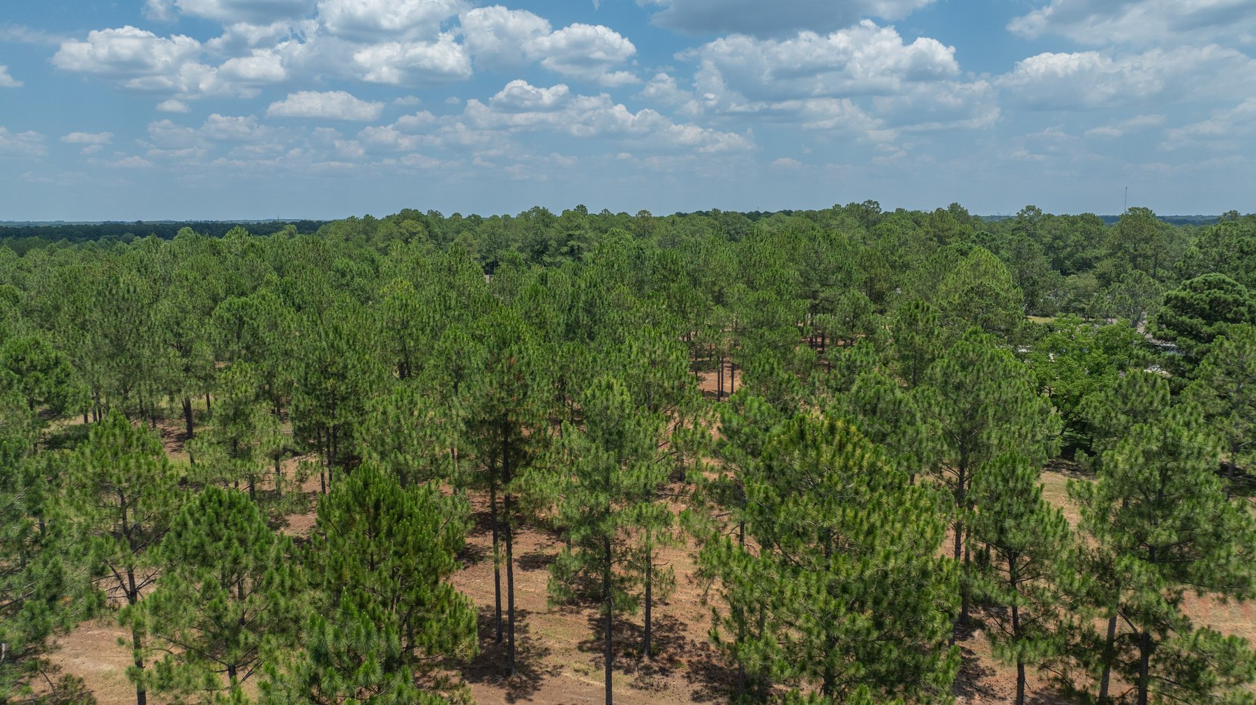 Image for Beautiful 2.34+/- Acre Homesite in Tift County