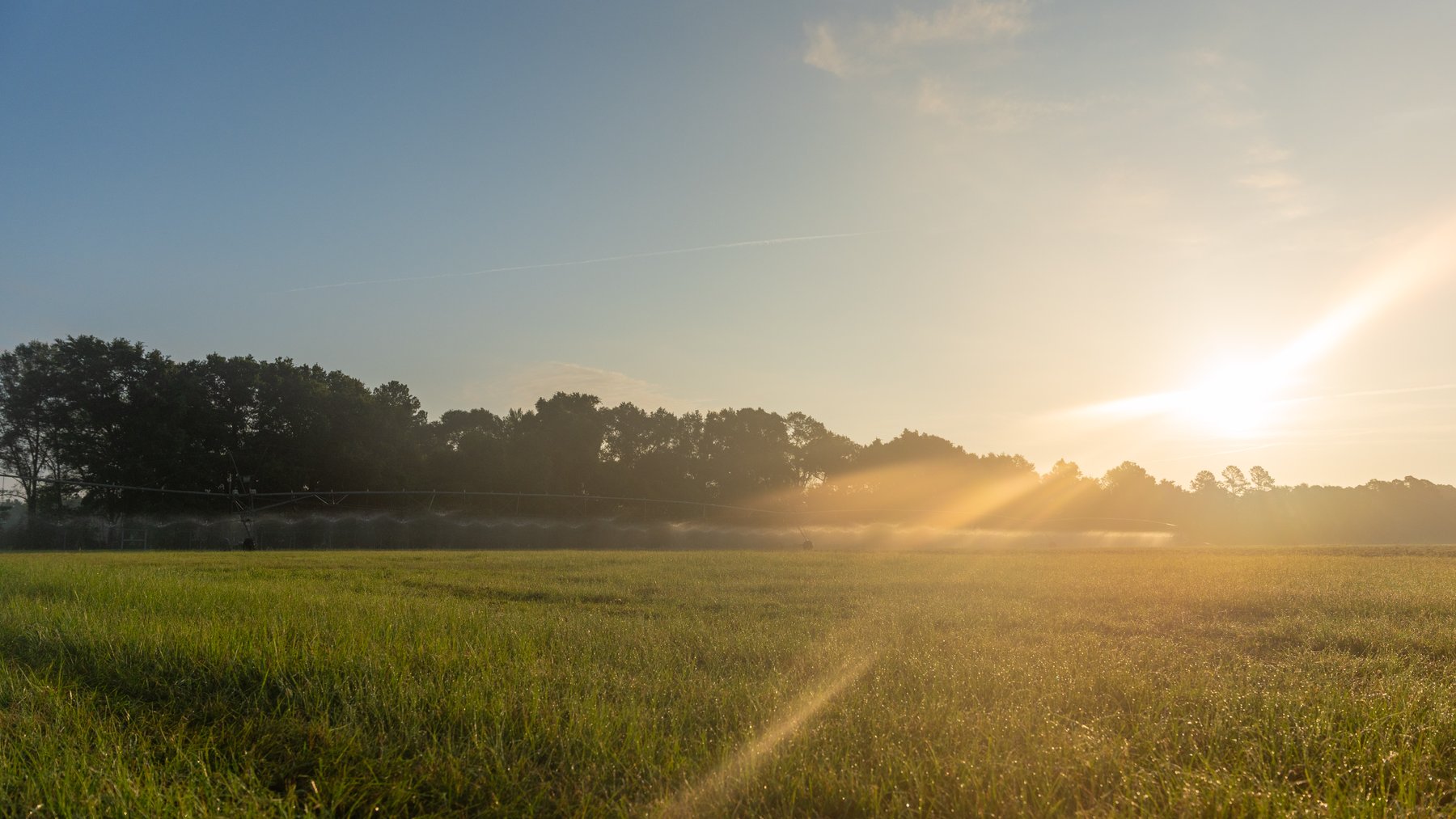 Image for 161+/- Acres - FMC Sparks Research Station - Irrigated Farming Operation with Office, Lab, Greenhouse & Barns