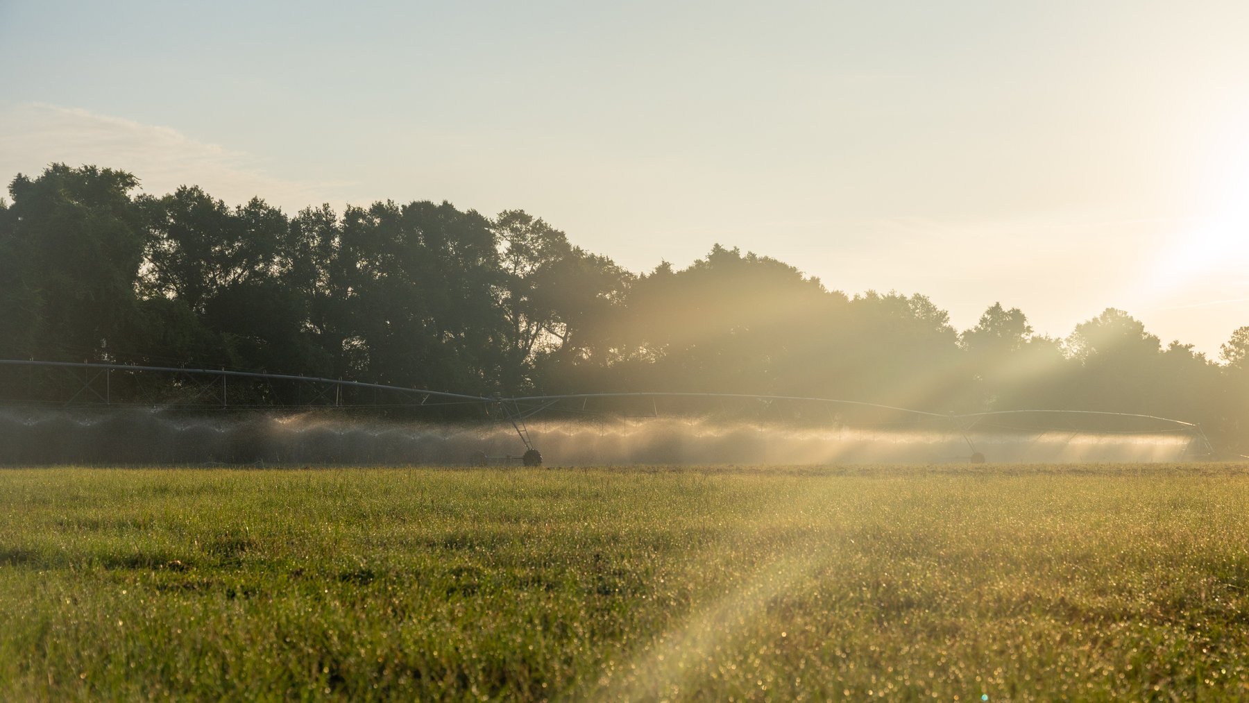 Image for 161+/- Acres - FMC Sparks Research Station - Irrigated Farming Operation with Office, Lab, Greenhouse & Barns