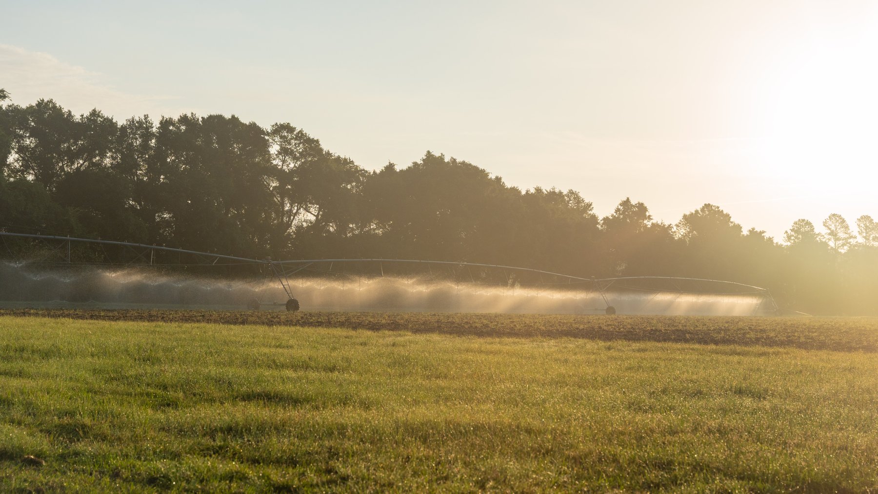 Image for 161+/- Acres - FMC Sparks Research Station - Irrigated Farming Operation with Office, Lab, Greenhouse & Barns