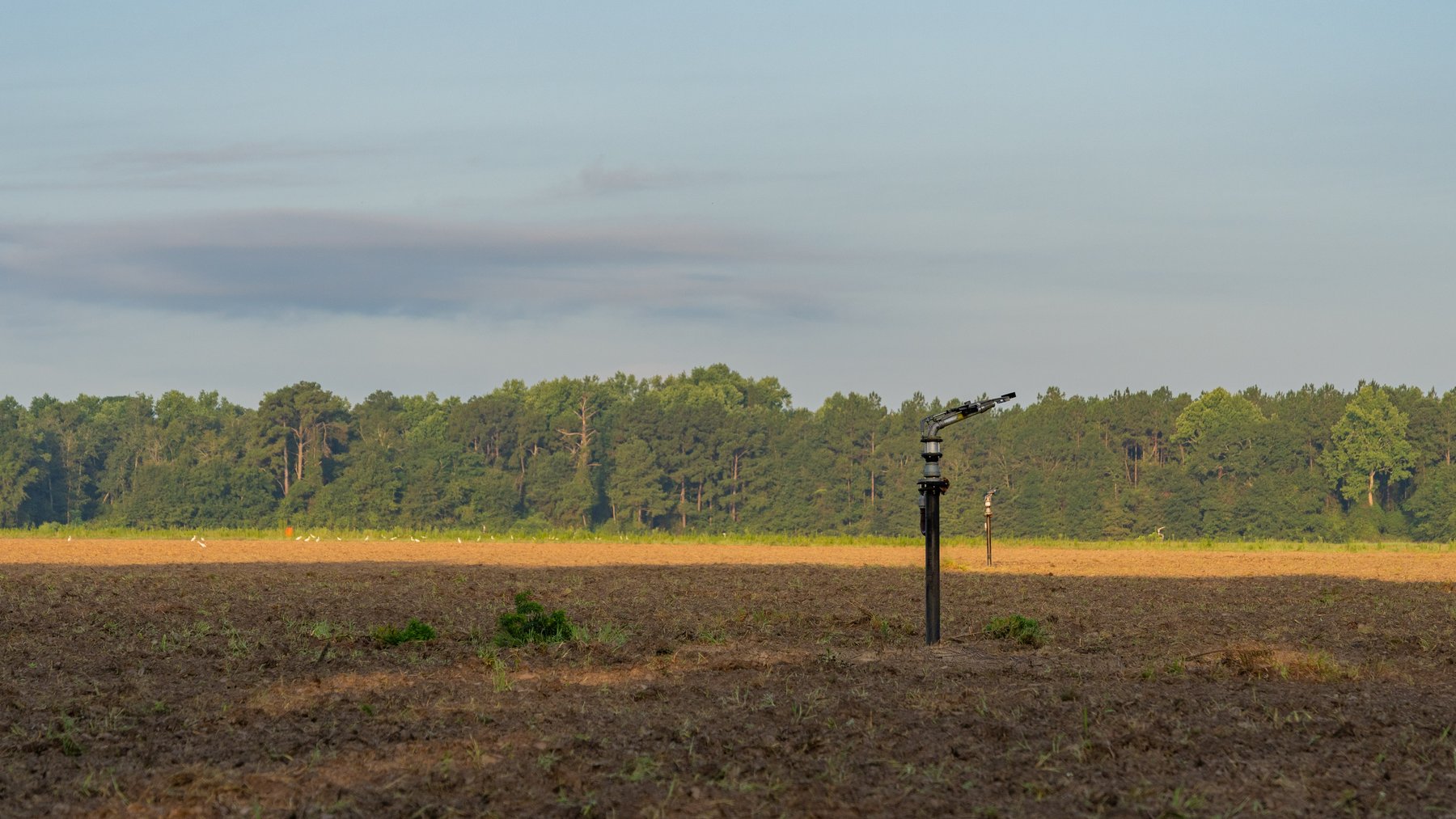Image for 161+/- Acres - FMC Sparks Research Station - Irrigated Farming Operation with Office, Lab, Greenhouse & Barns