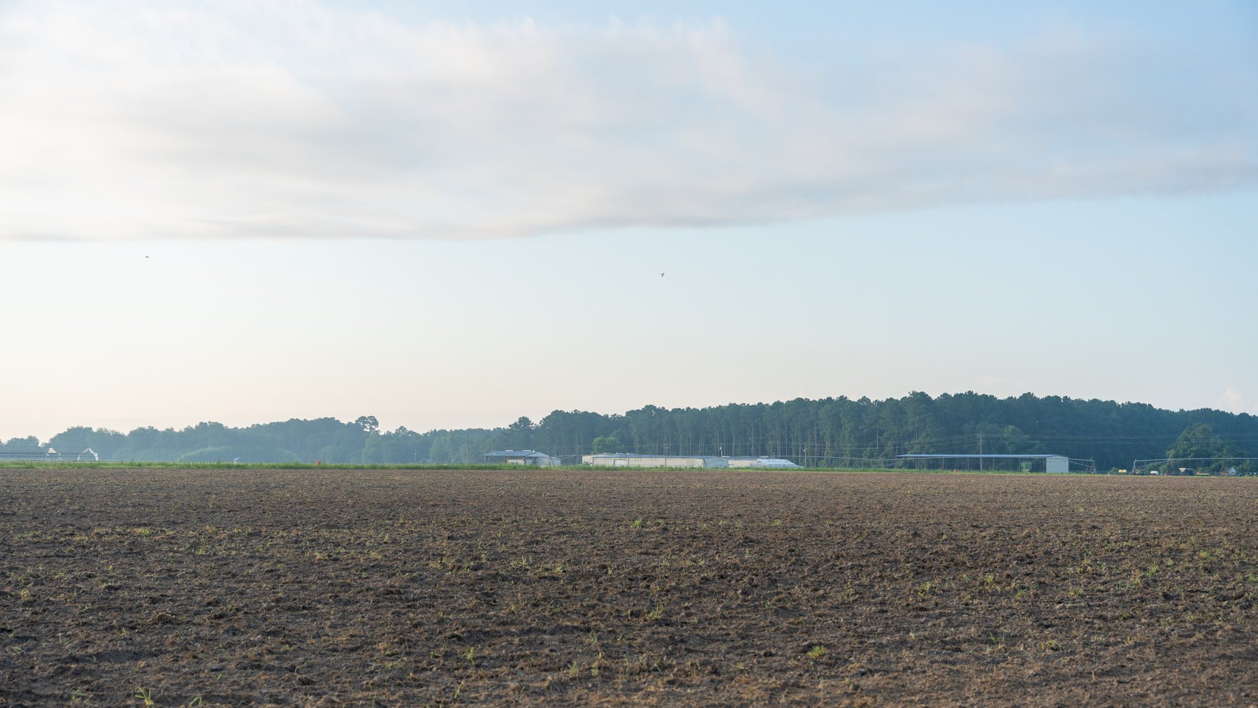 Image for 161+/- Acres - FMC Sparks Research Station - Irrigated Farming Operation with Office, Lab, Greenhouse & Barns