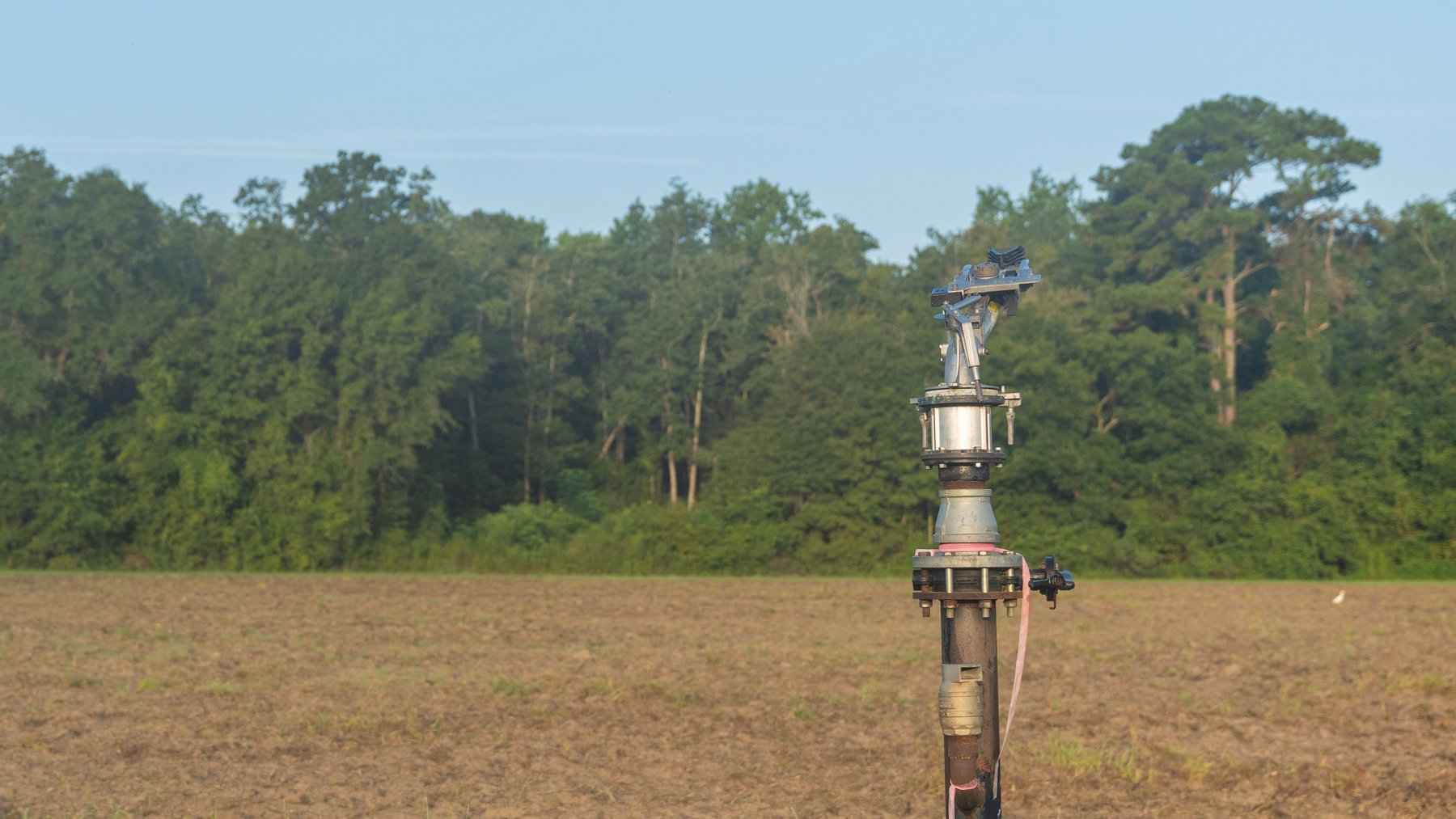 Image for 161+/- Acres - FMC Sparks Research Station - Irrigated Farming Operation with Office, Lab, Greenhouse & Barns