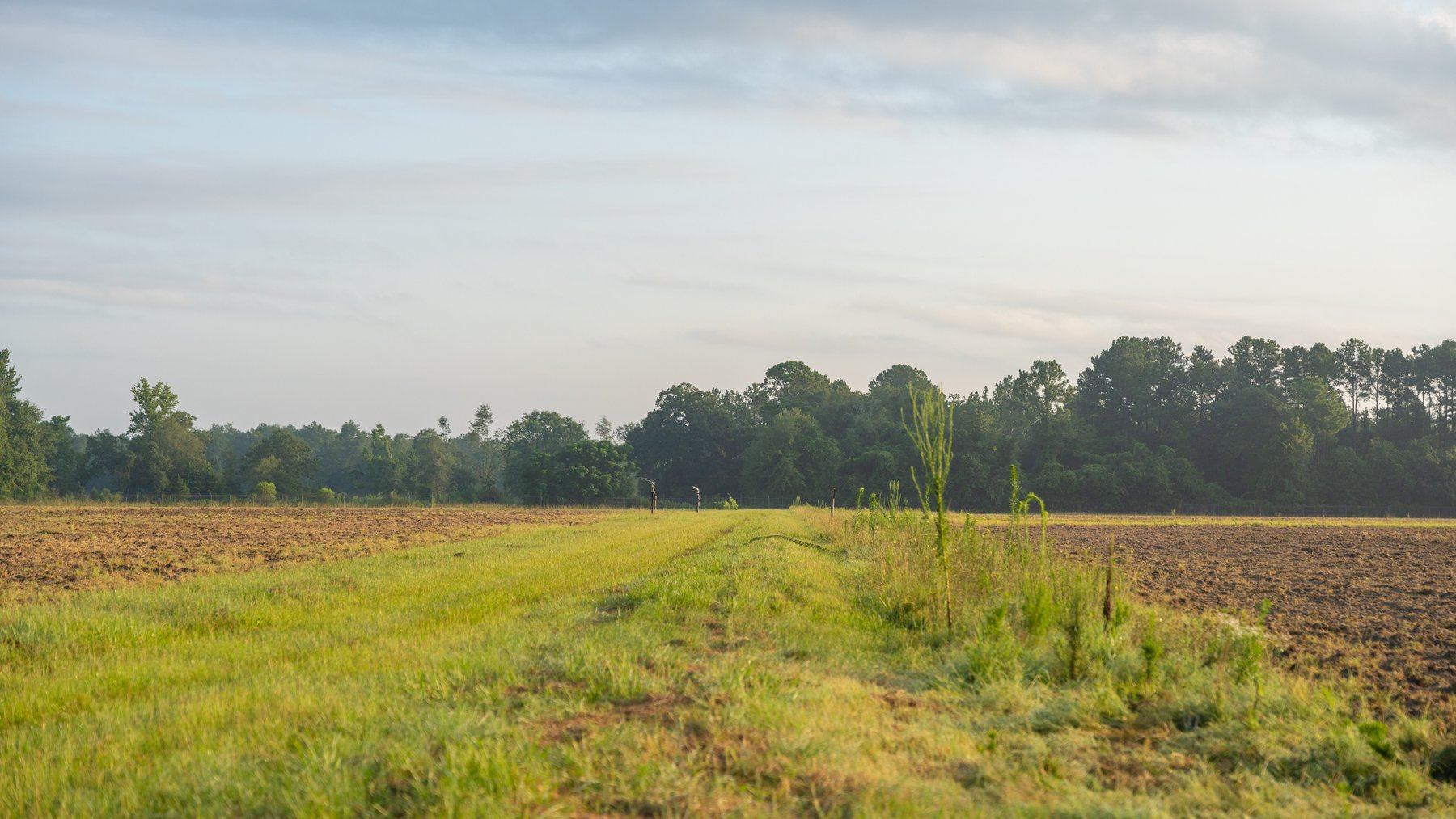 Image for 161+/- Acres - FMC Sparks Research Station - Irrigated Farming Operation with Office, Lab, Greenhouse & Barns