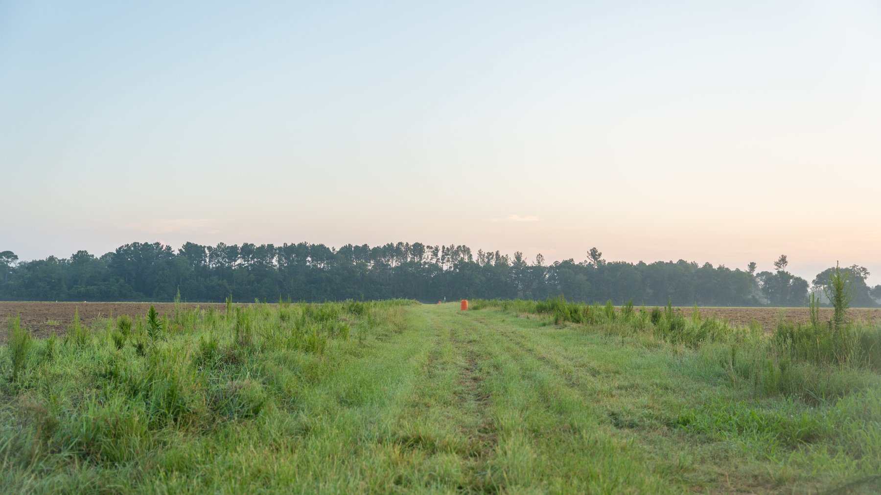 Image for 161+/- Acres - FMC Sparks Research Station - Irrigated Farming Operation with Office, Lab, Greenhouse & Barns