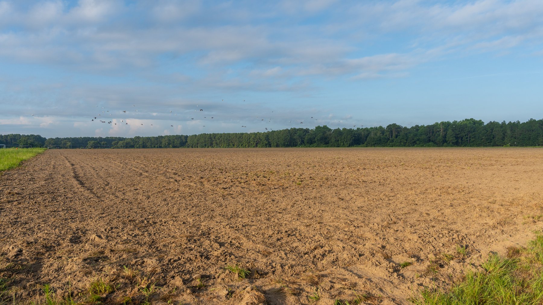 Image for 161+/- Acres - FMC Sparks Research Station - Irrigated Farming Operation with Office, Lab, Greenhouse & Barns