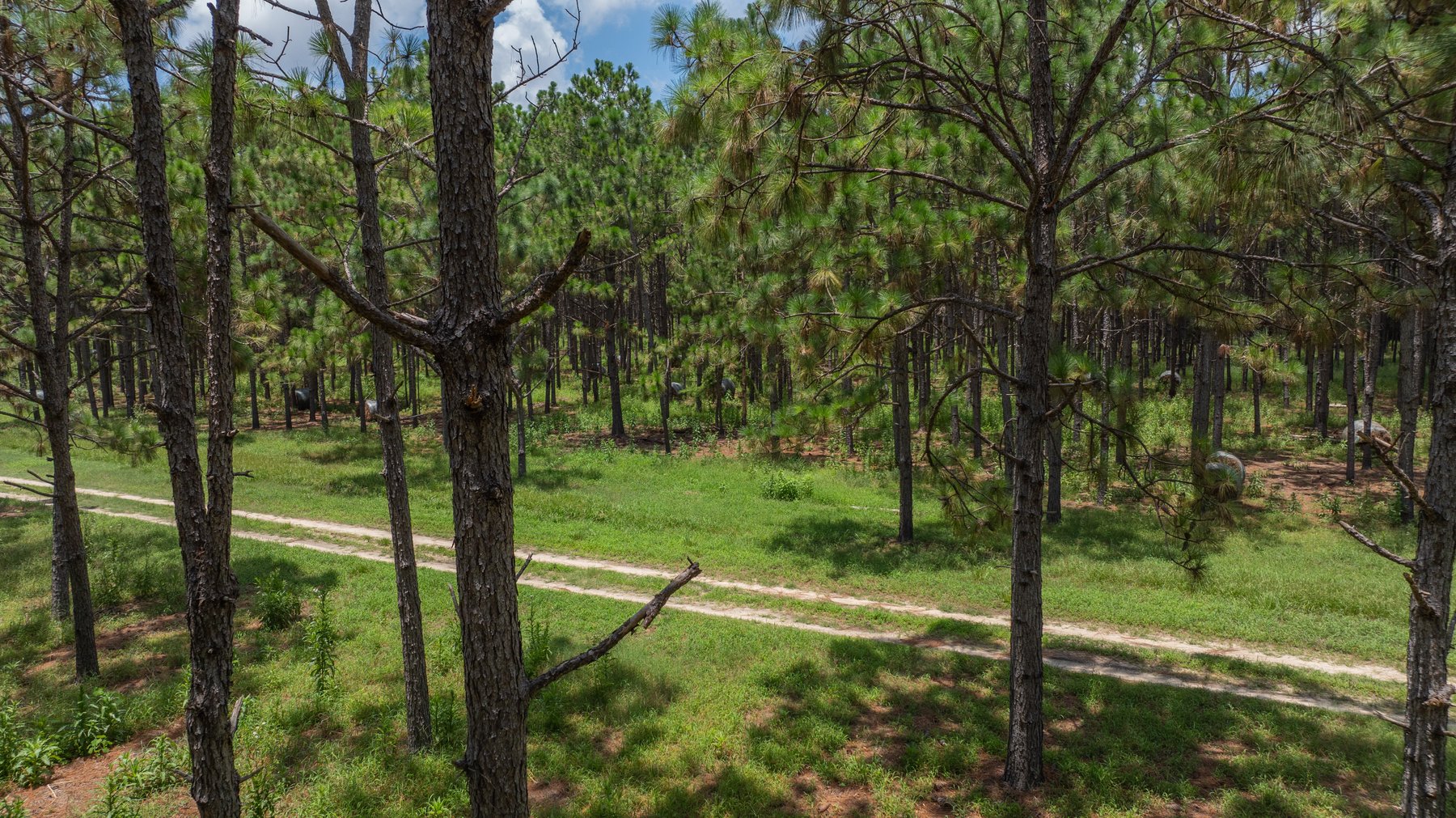 Image for 25.79+/- Acres in Thomas County, Georgia - Residential Development Potential