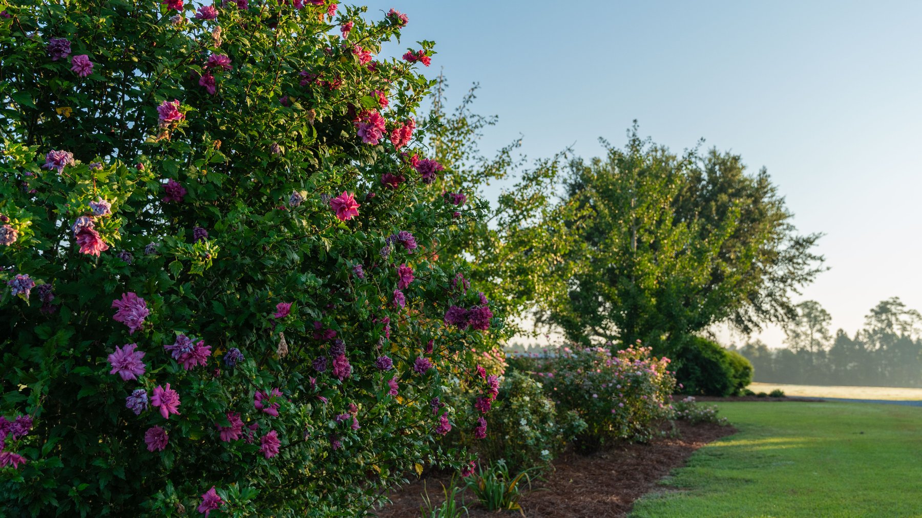 Image for The Massee Post Estate - 75+/- Acres with 6,700+/- Sq. Ft. Luxury Home in Cook County, Georgia