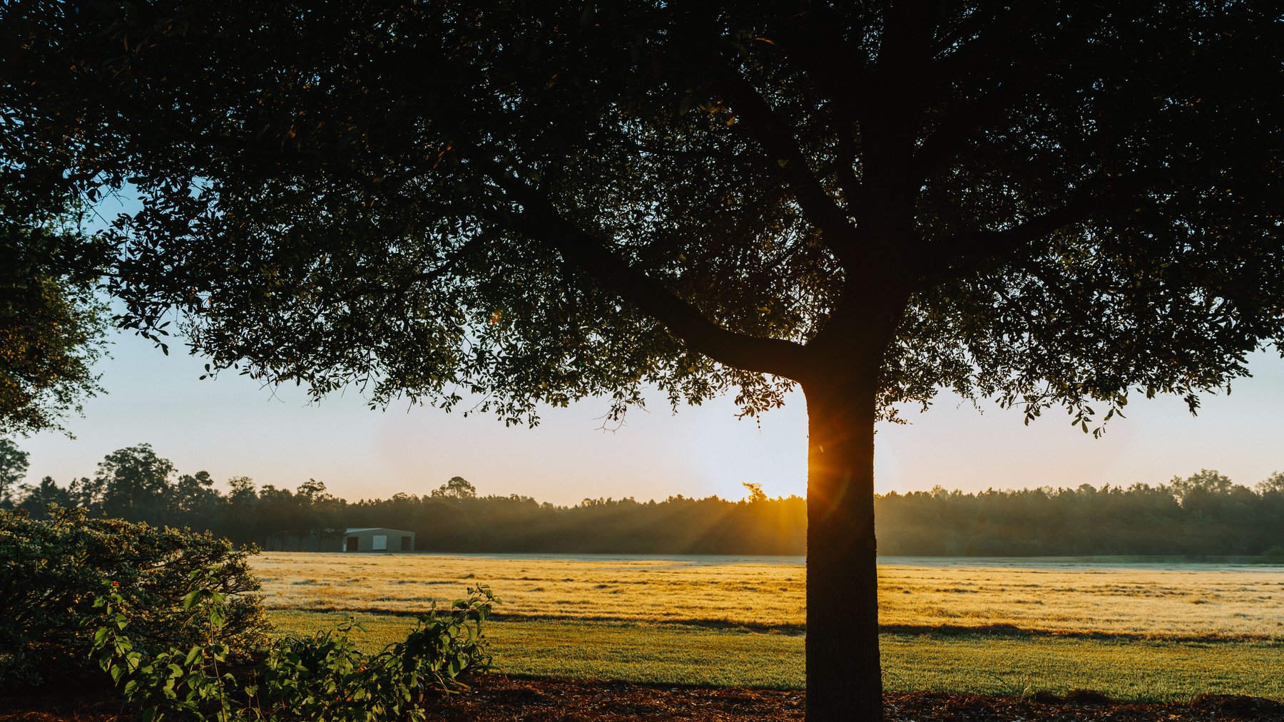 Image for The Massee Post Estate - 75+/- Acres with 6,700+/- Sq. Ft. Luxury Home in Cook County, Georgia