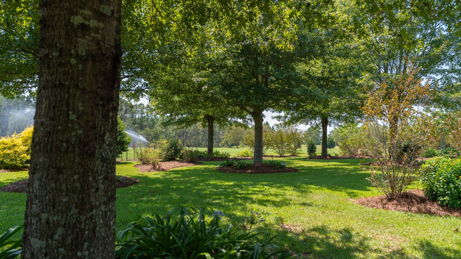 Image for The Massee Post Estate - 75+/- Acres with 6,700+/- Sq. Ft. Luxury Home in Cook County, Georgia