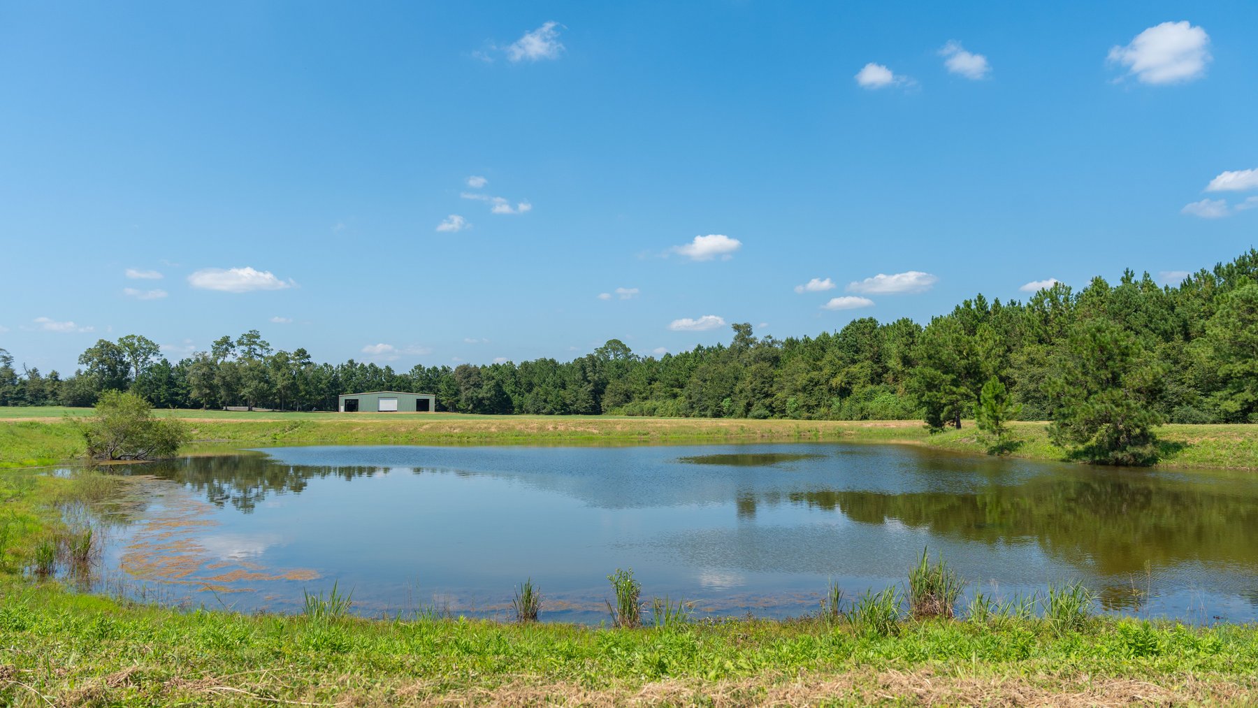 Image for The Massee Post Estate - 75+/- Acres with 6,700+/- Sq. Ft. Luxury Home in Cook County, Georgia