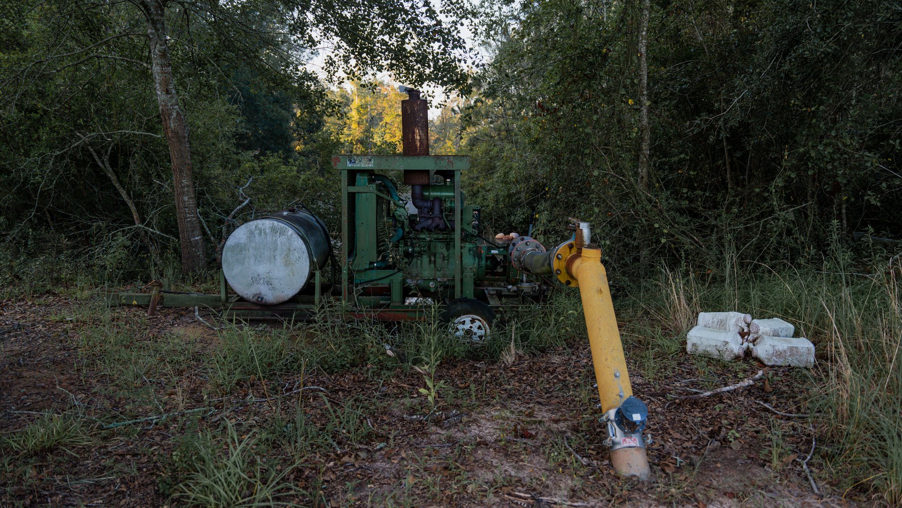 Image for The Massee Post Estate - 75+/- Acres with 6,700+/- Sq. Ft. Luxury Home in Cook County, Georgia