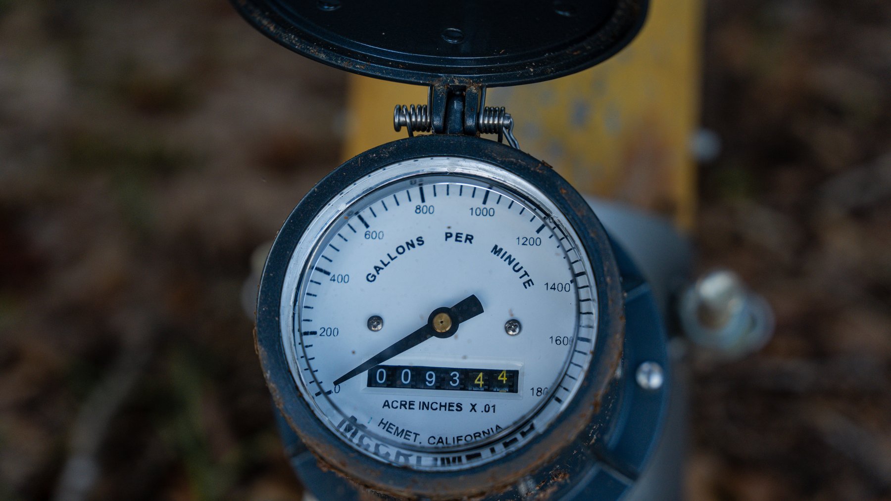 Image for The Massee Post Estate - 75+/- Acres with 6,700+/- Sq. Ft. Luxury Home in Cook County, Georgia