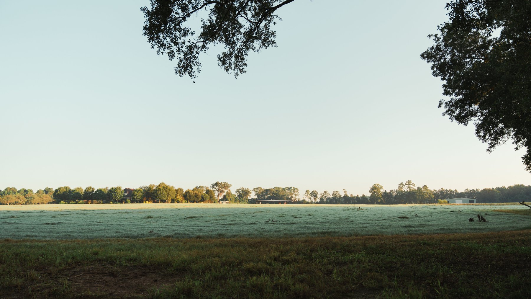 Image for The Massee Post Estate - 75+/- Acres with 6,700+/- Sq. Ft. Luxury Home in Cook County, Georgia