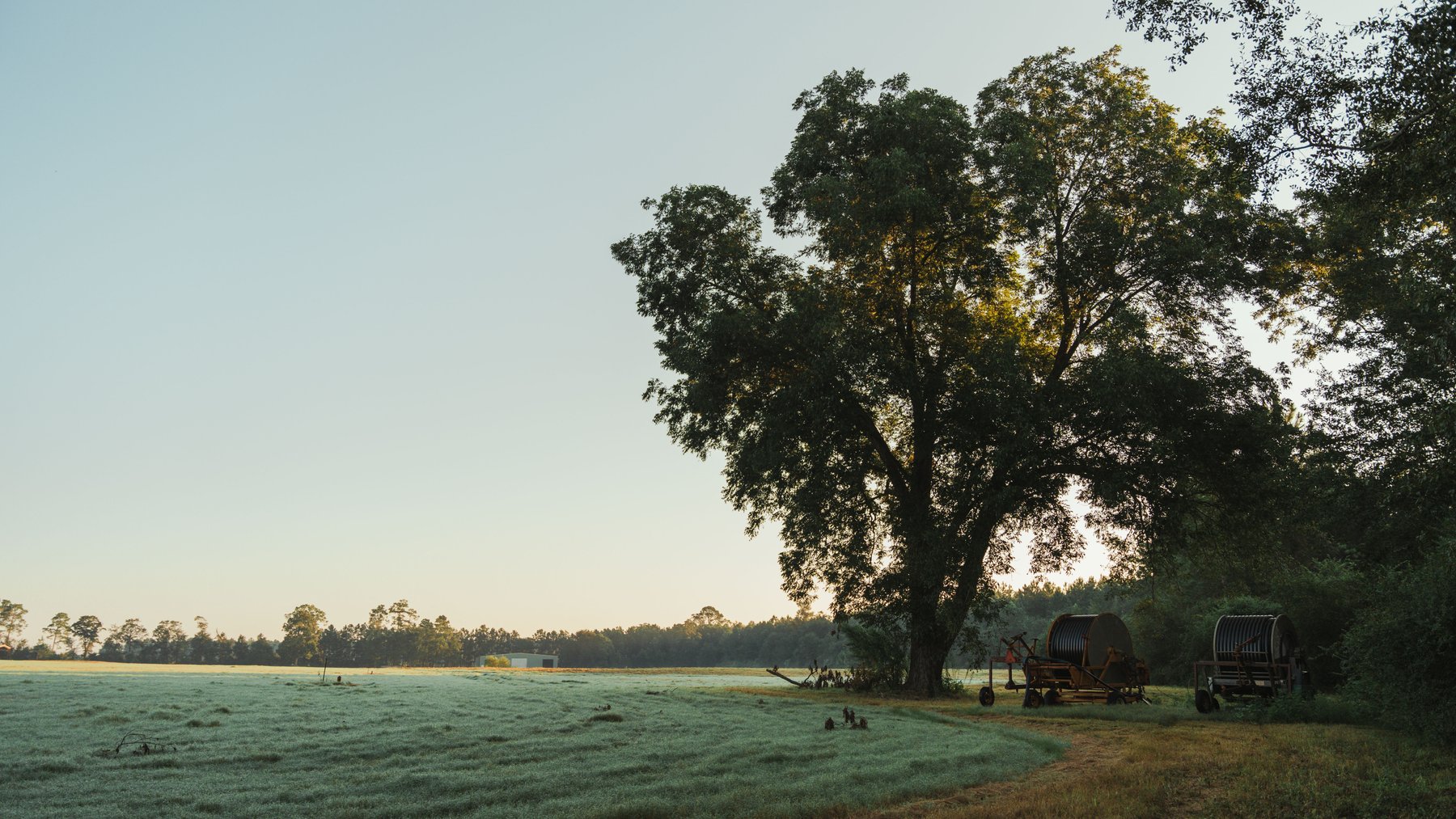 Image for The Massee Post Estate - 75+/- Acres with 6,700+/- Sq. Ft. Luxury Home in Cook County, Georgia