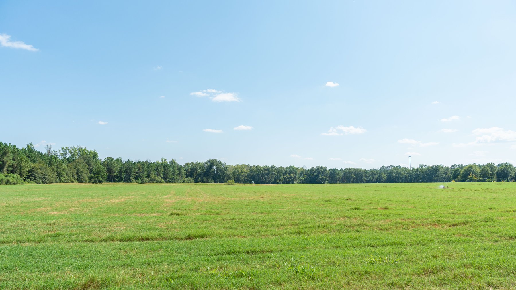 Image for The Massee Post Estate - 75+/- Acres with 6,700+/- Sq. Ft. Luxury Home in Cook County, Georgia