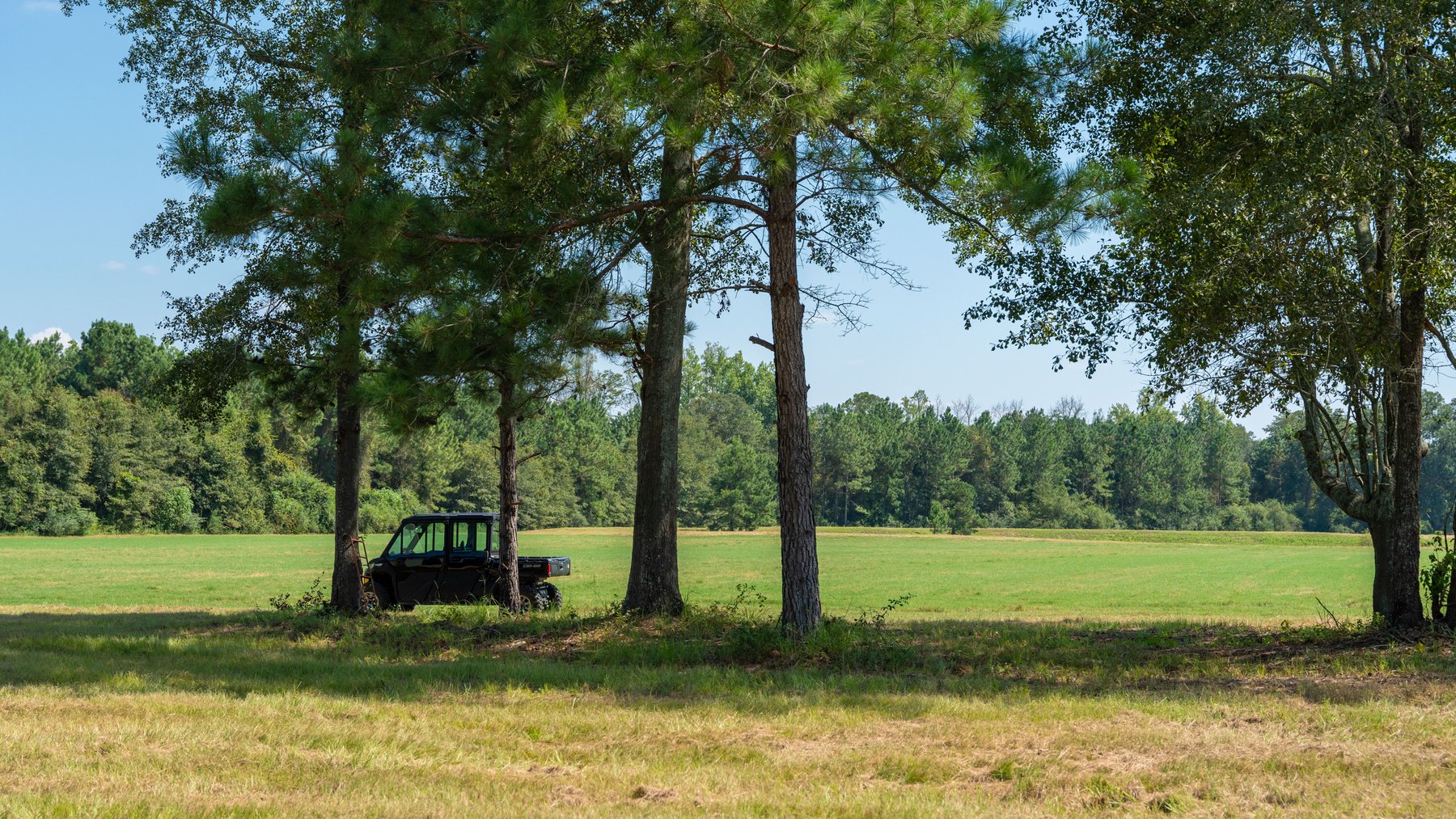 Image for The Massee Post Estate - 75+/- Acres with 6,700+/- Sq. Ft. Luxury Home in Cook County, Georgia