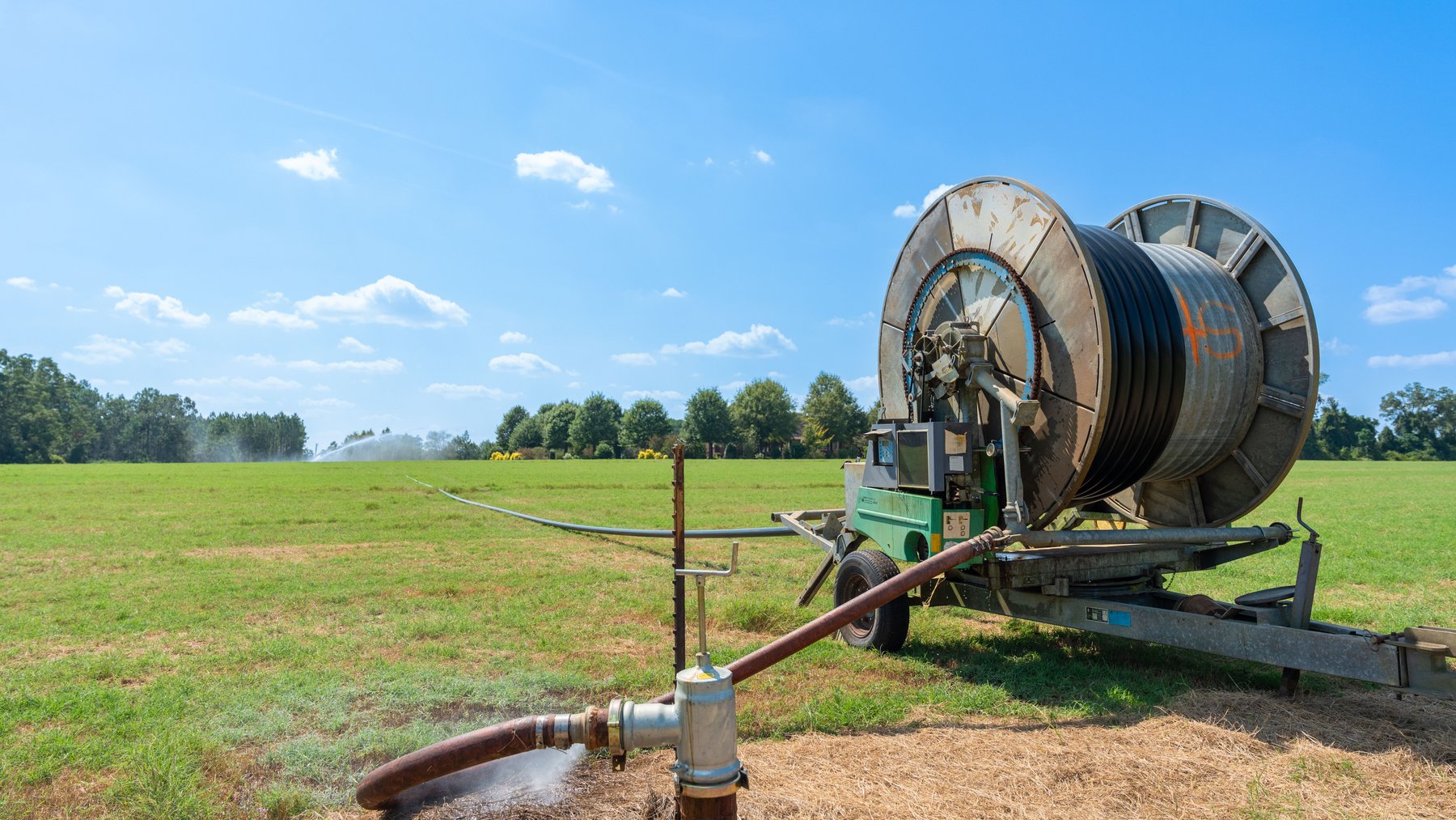Image for The Massee Post Estate - 75+/- Acres with 6,700+/- Sq. Ft. Luxury Home in Cook County, Georgia