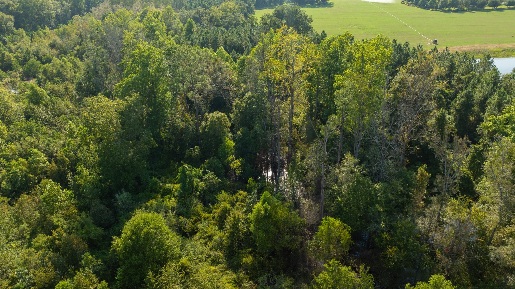 Image for The Massee Post Estate - 75+/- Acres with 6,700+/- Sq. Ft. Luxury Home in Cook County, Georgia