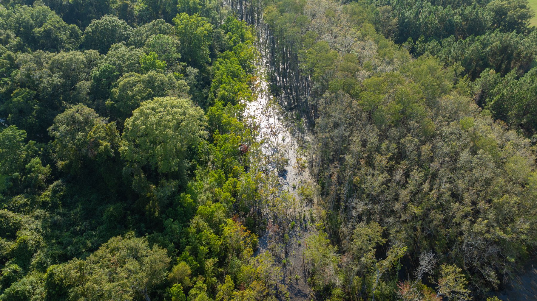 Image for The Massee Post Estate - 75+/- Acres with 6,700+/- Sq. Ft. Luxury Home in Cook County, Georgia