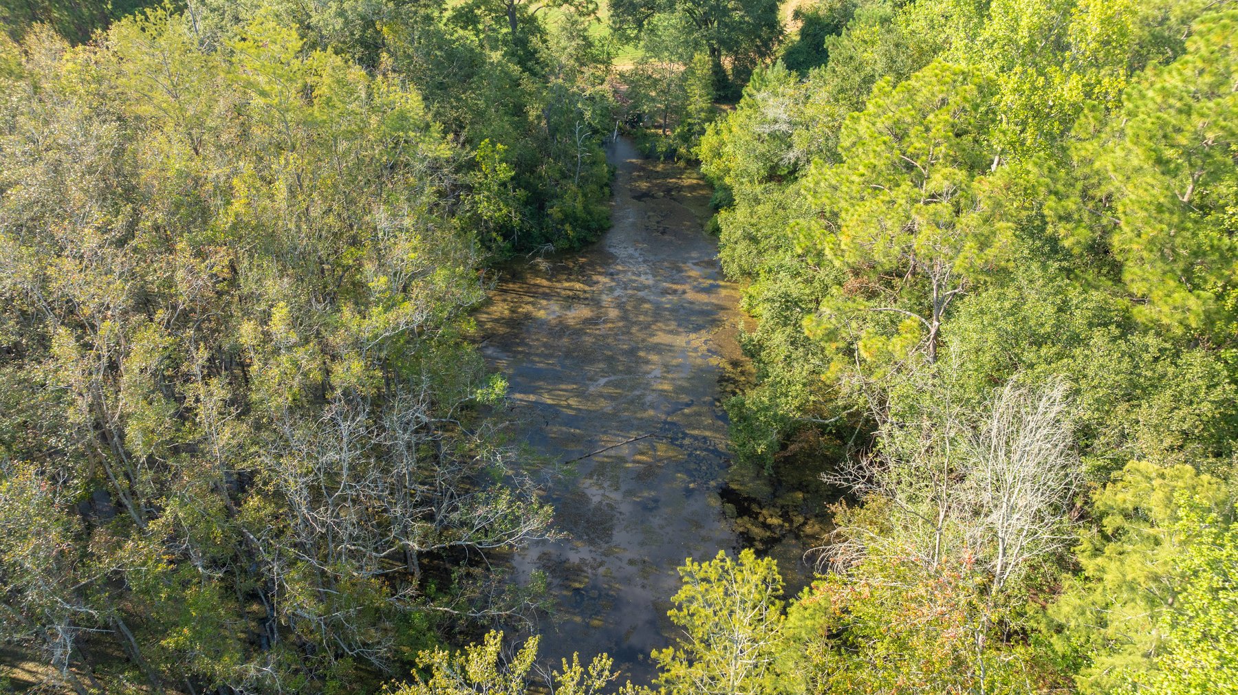 Image for The Massee Post Estate - 75+/- Acres with 6,700+/- Sq. Ft. Luxury Home in Cook County, Georgia