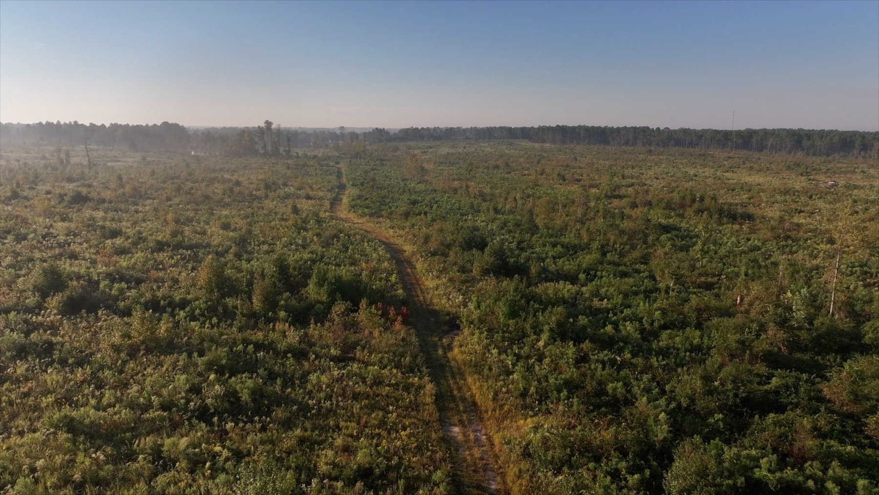 Image for Jamieson Place – 203+/- Acres - Recreational Investment Opportunity - Dodge County, Georgia