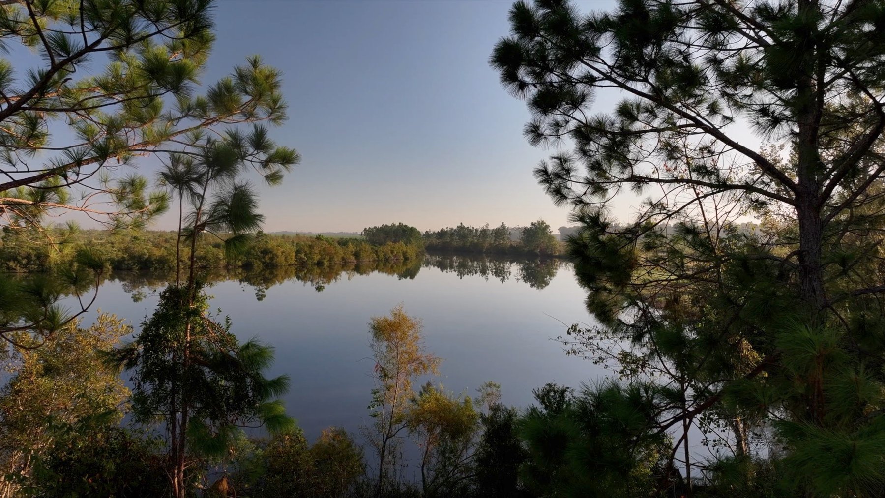 Image for Jamieson Place – 203+/- Acres - Recreational Investment Opportunity - Dodge County, Georgia