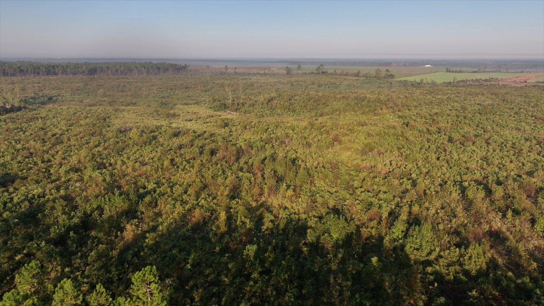 Image for Jamieson Place – 203+/- Acres - Recreational Investment Opportunity - Dodge County, Georgia