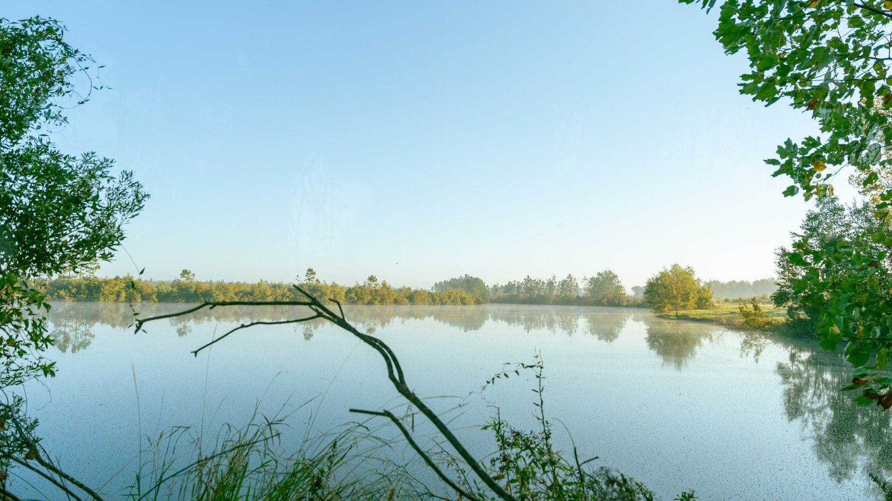 Image for Jamieson Place – 203+/- Acres - Recreational Investment Opportunity - Dodge County, Georgia