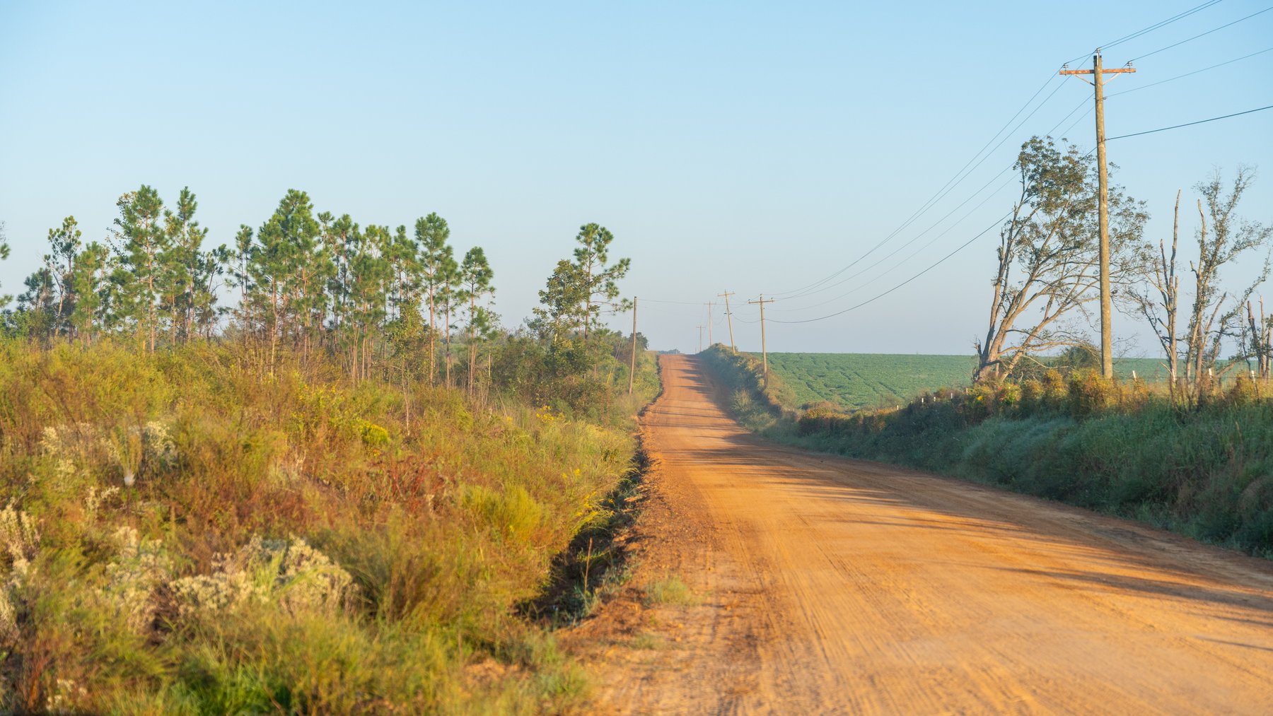 Image for Jamieson Place – 203+/- Acres - Recreational Investment Opportunity - Dodge County, Georgia