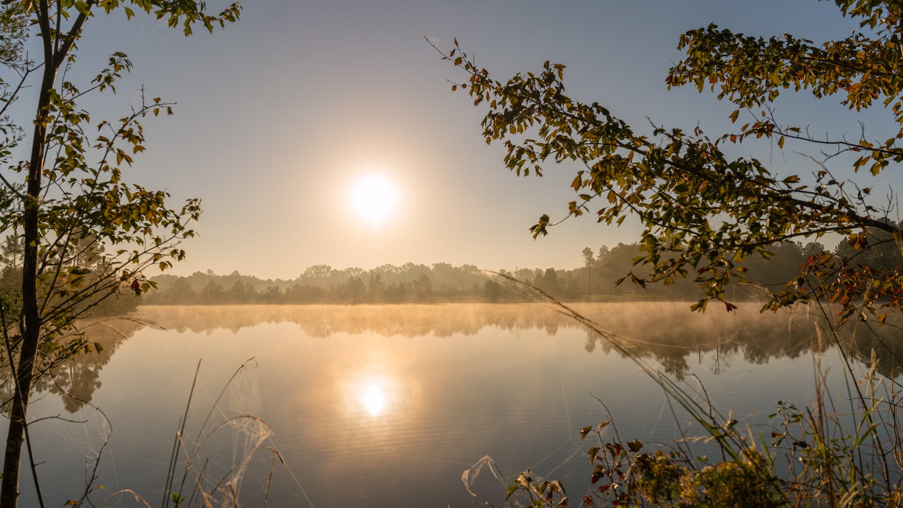 Image for Jamieson Place – 203+/- Acres - Recreational Investment Opportunity - Dodge County, Georgia