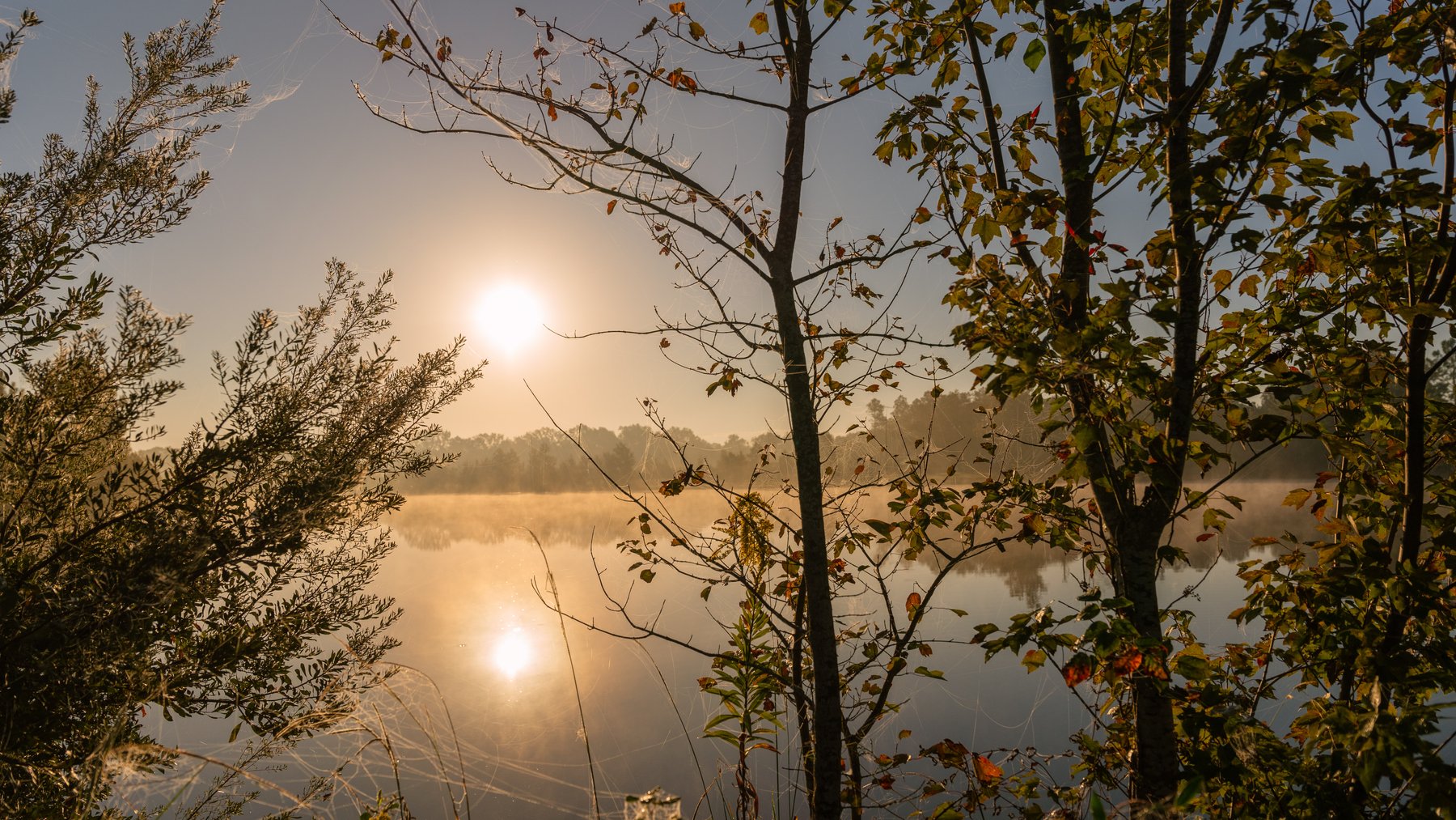 Image for Jamieson Place – 203+/- Acres - Recreational Investment Opportunity - Dodge County, Georgia