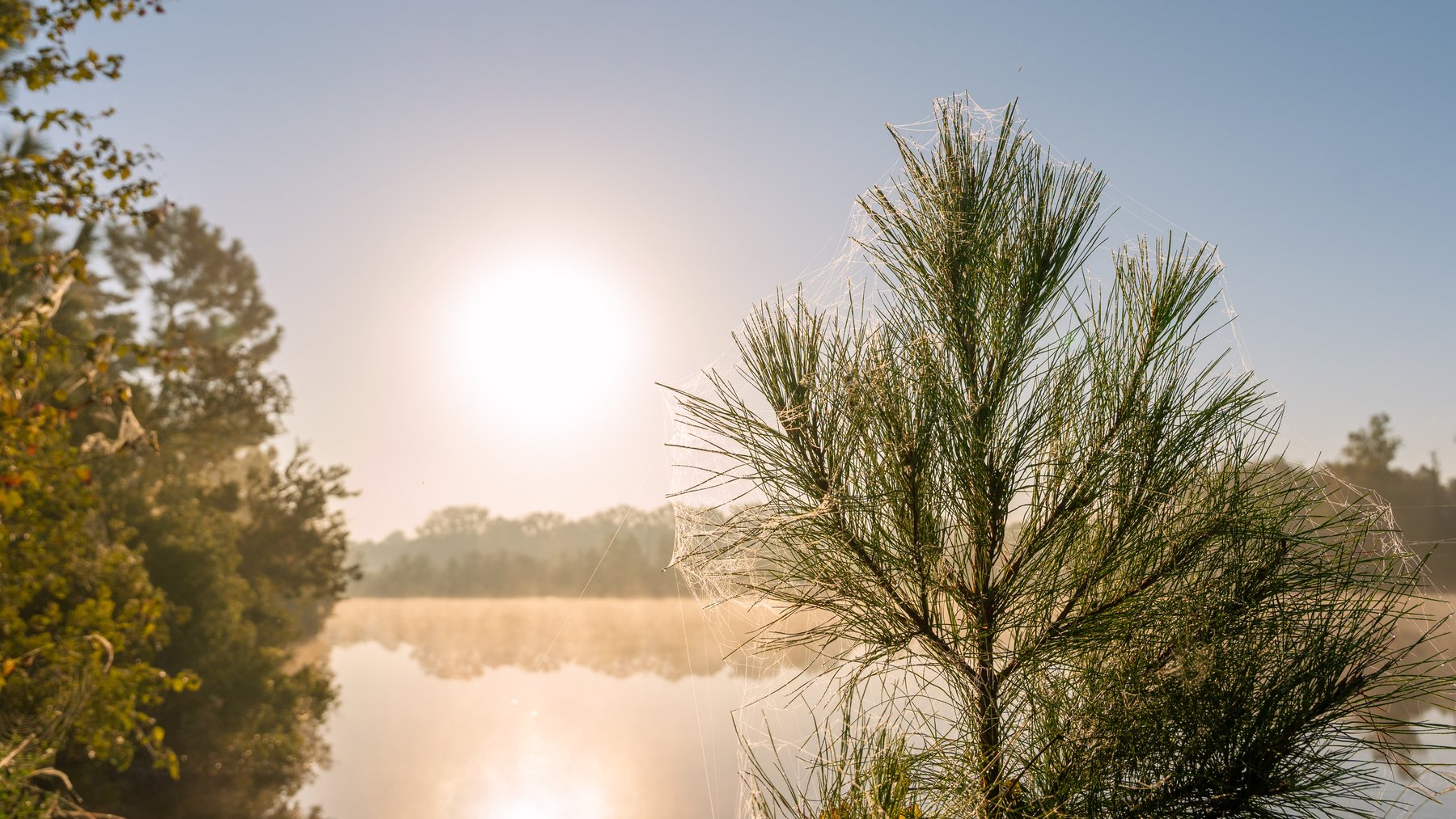 Image for Jamieson Place – 203+/- Acres - Recreational Investment Opportunity - Dodge County, Georgia