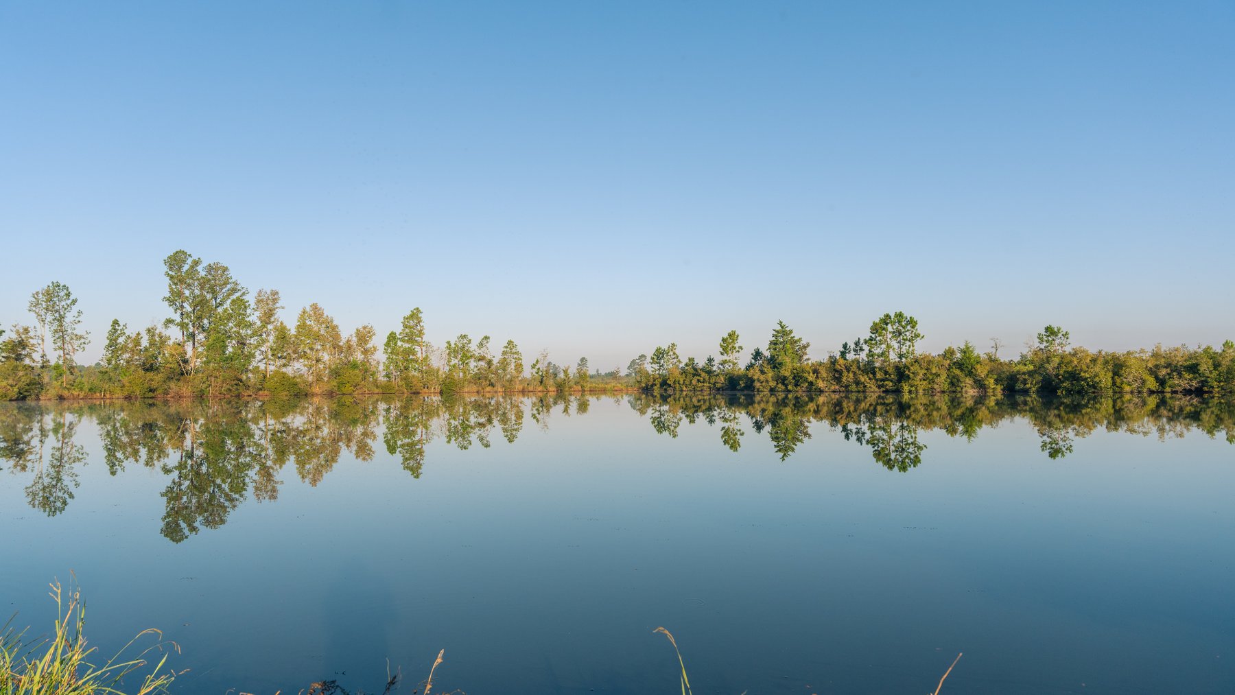 Image for Jamieson Place – 203+/- Acres - Recreational Investment Opportunity - Dodge County, Georgia