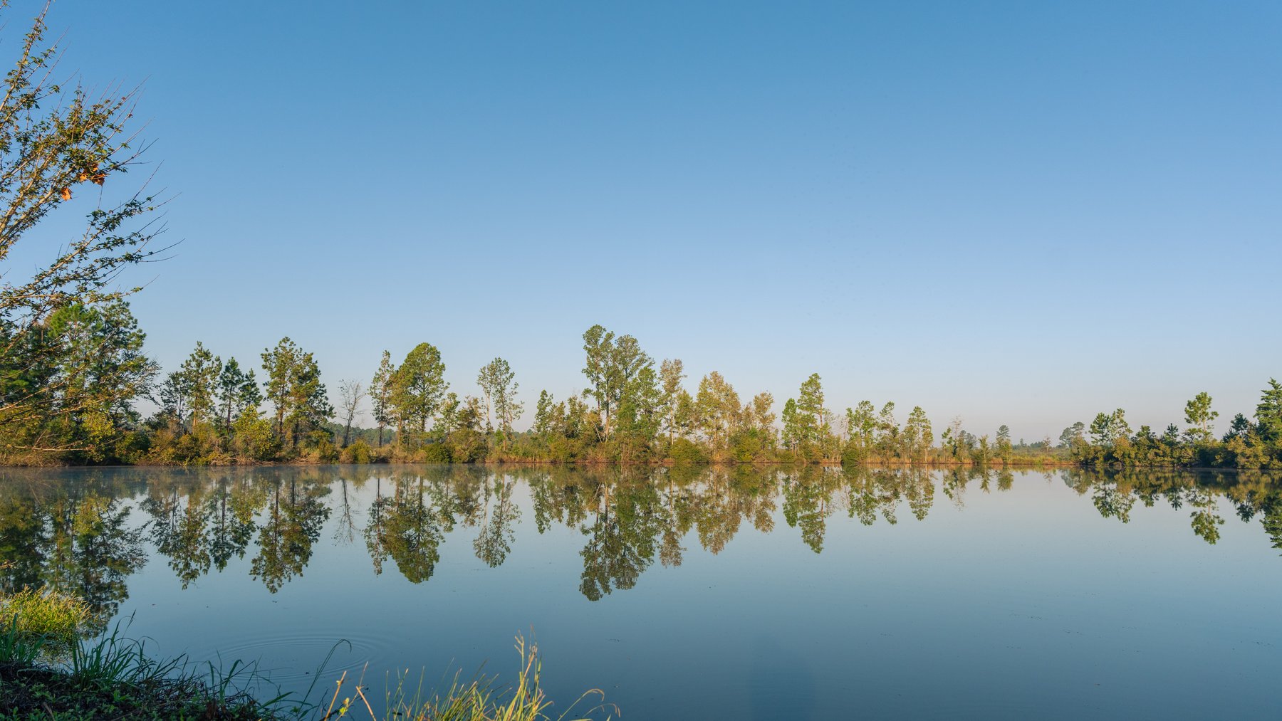 Image for Jamieson Place – 203+/- Acres - Recreational Investment Opportunity - Dodge County, Georgia