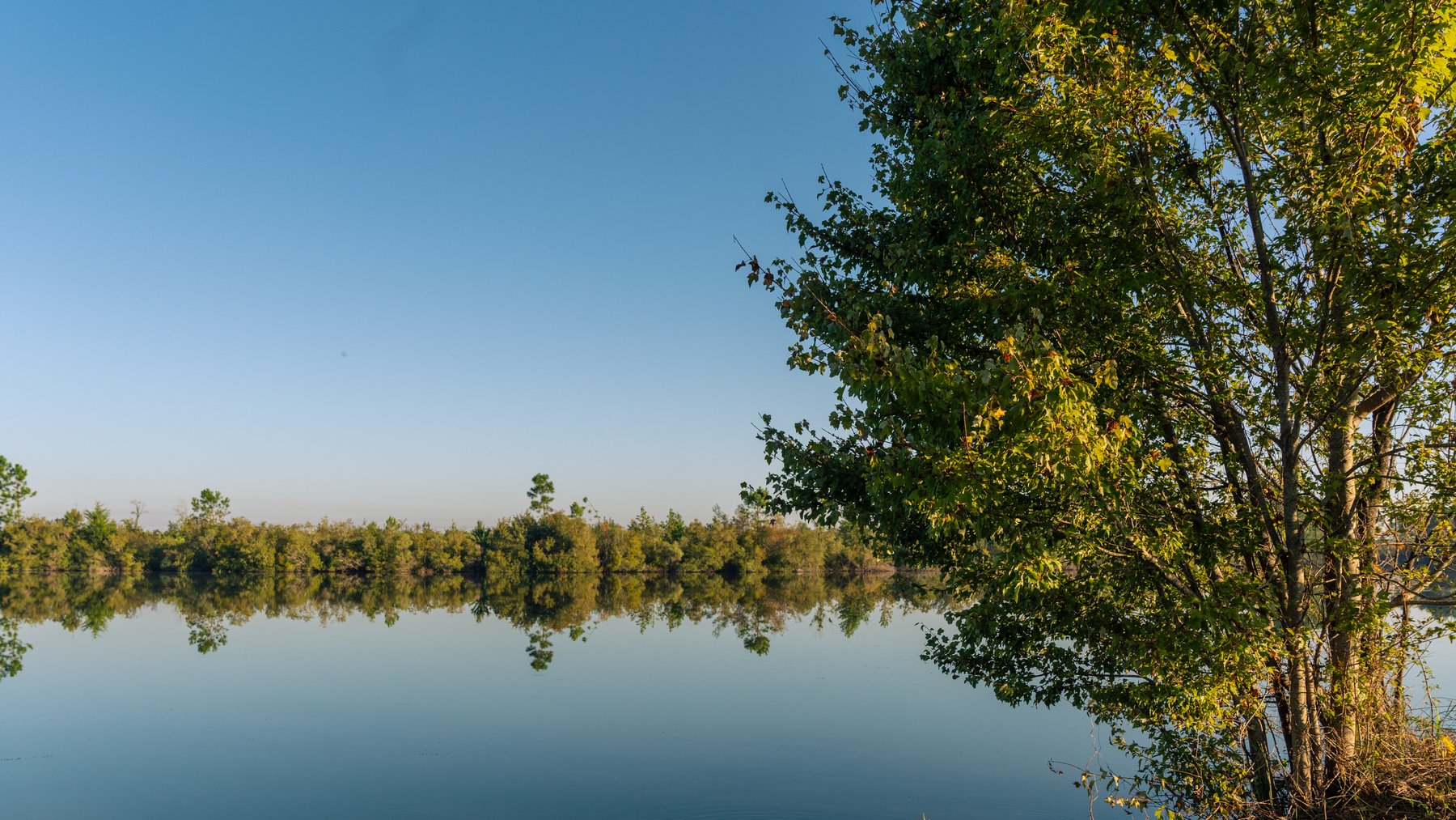 Image for Jamieson Place – 203+/- Acres - Recreational Investment Opportunity - Dodge County, Georgia