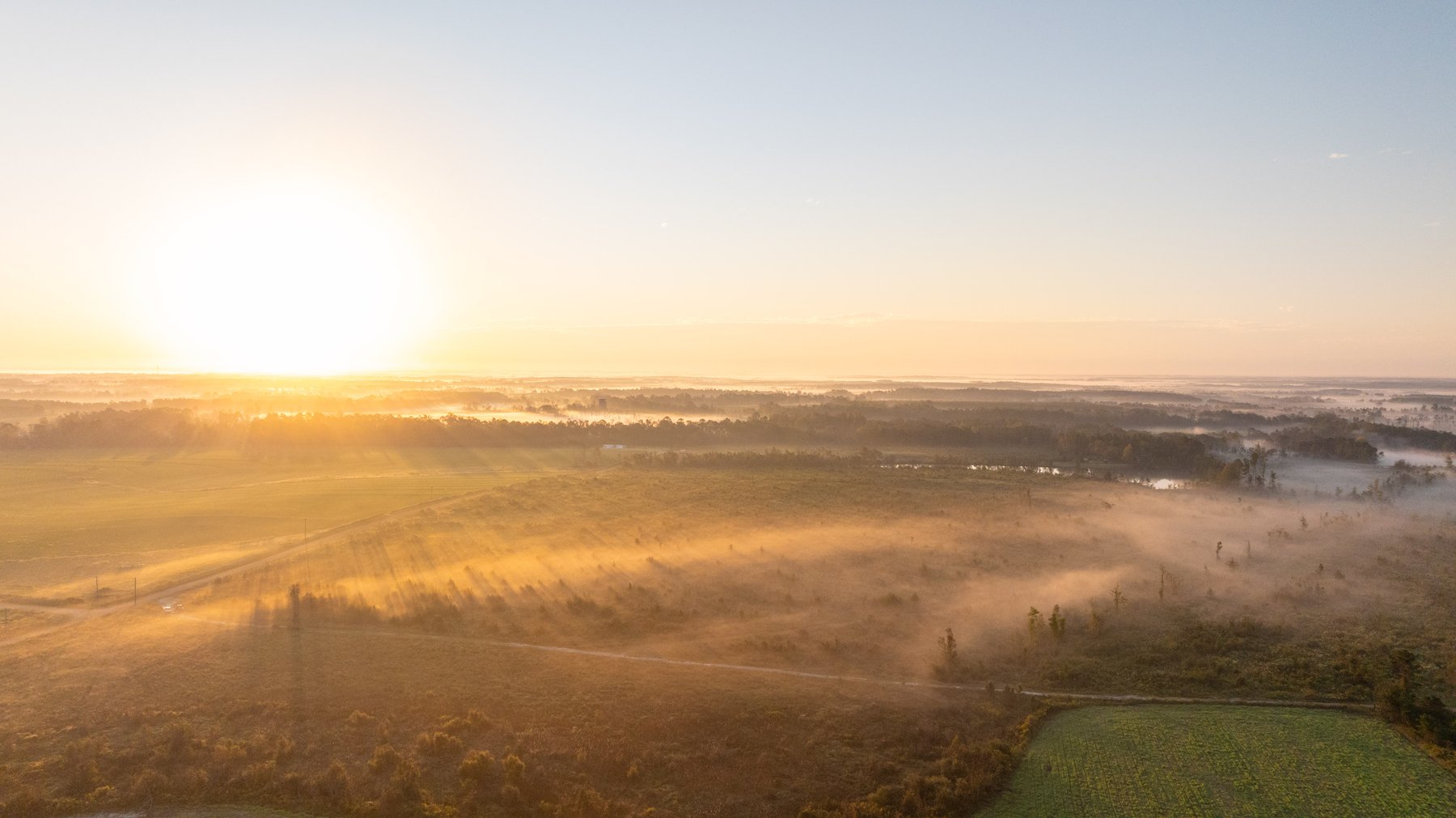 Image for Jamieson Place – 203+/- Acres - Recreational Investment Opportunity - Dodge County, Georgia