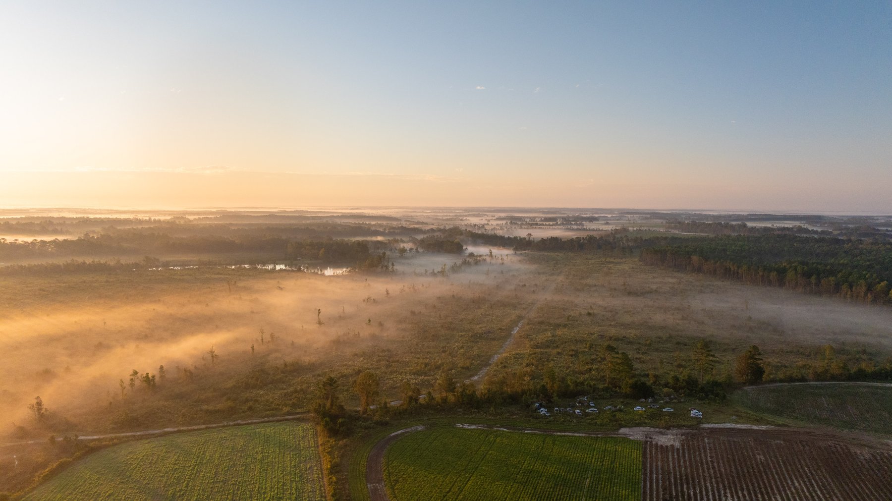 Image for Jamieson Place – 203+/- Acres - Recreational Investment Opportunity - Dodge County, Georgia