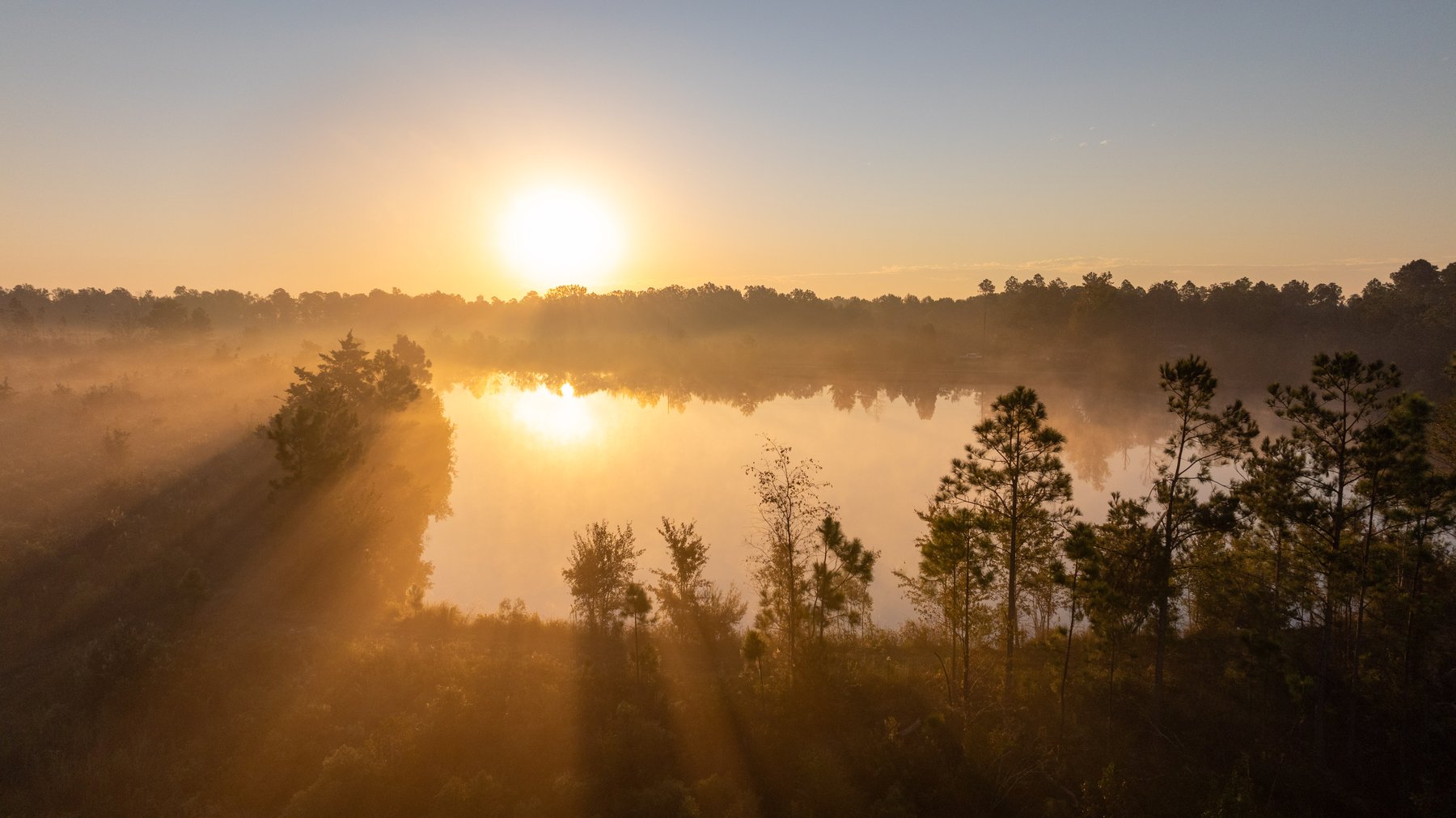 Image for Jamieson Place – 203+/- Acres - Recreational Investment Opportunity - Dodge County, Georgia