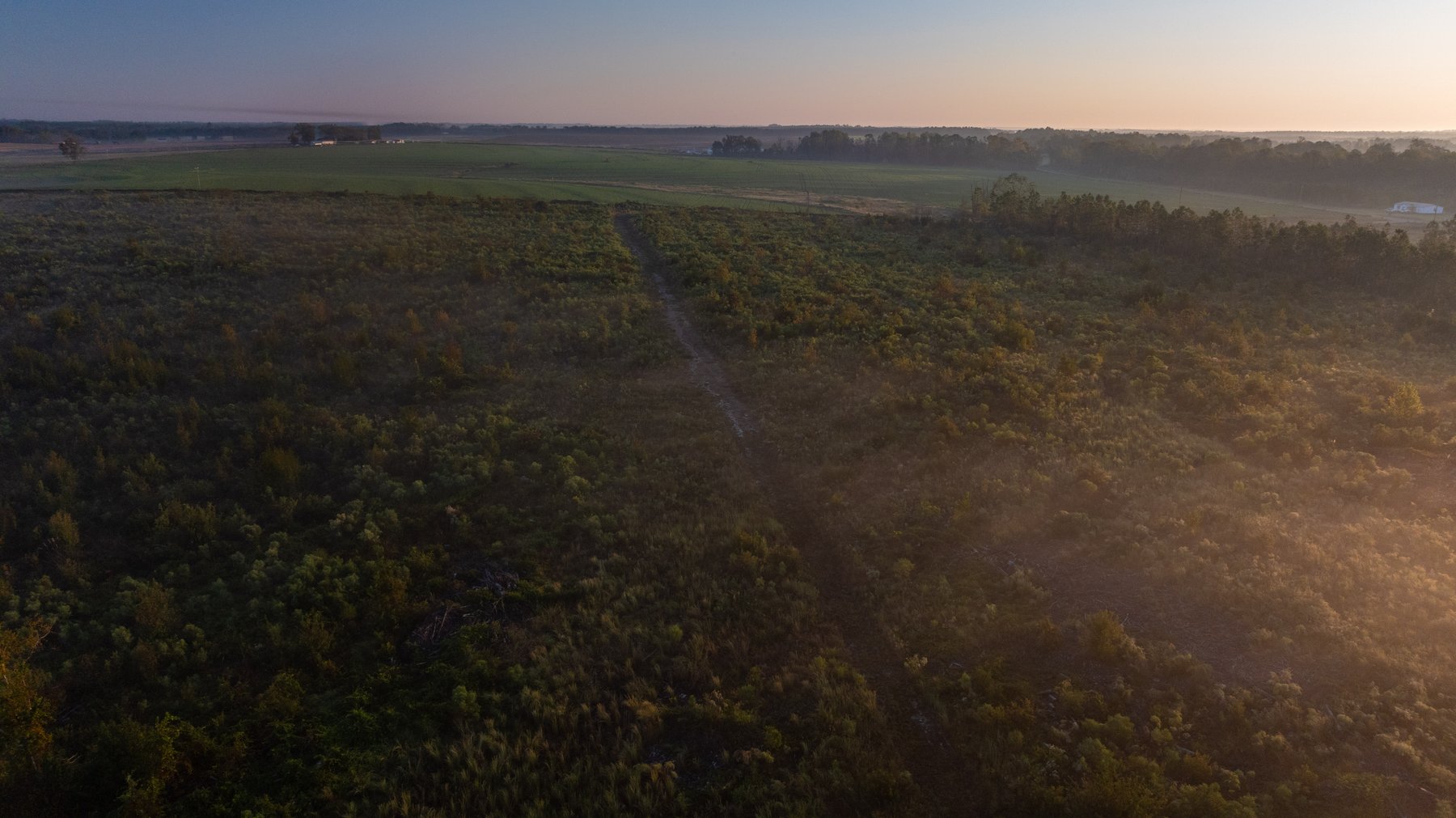 Image for Jamieson Place – 203+/- Acres - Recreational Investment Opportunity - Dodge County, Georgia