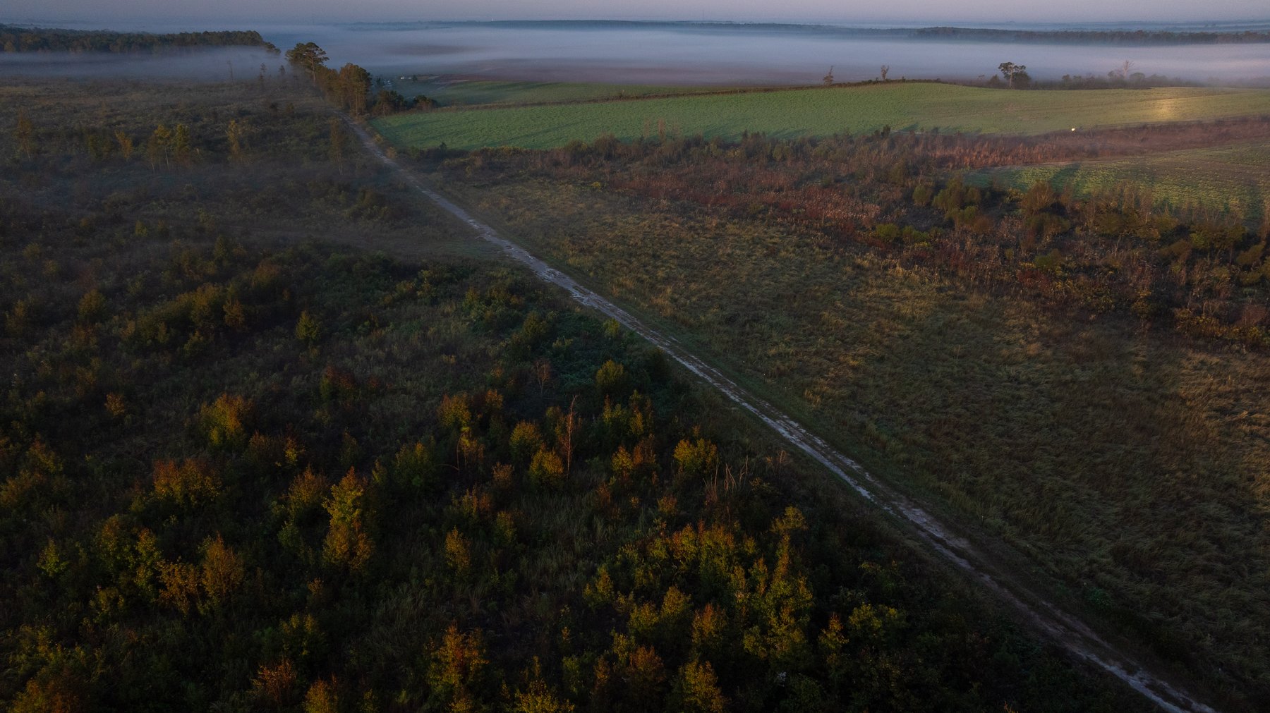 Image for Jamieson Place – 203+/- Acres - Recreational Investment Opportunity - Dodge County, Georgia