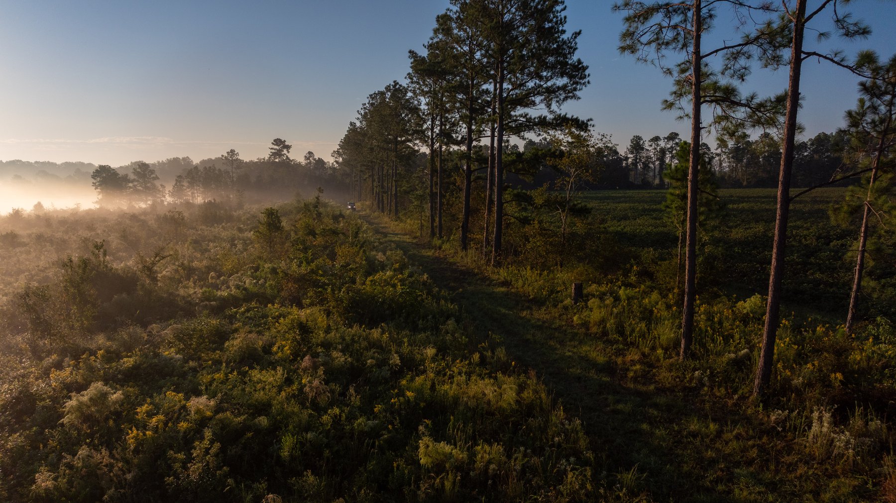 Image for Jamieson Place – 203+/- Acres - Recreational Investment Opportunity - Dodge County, Georgia