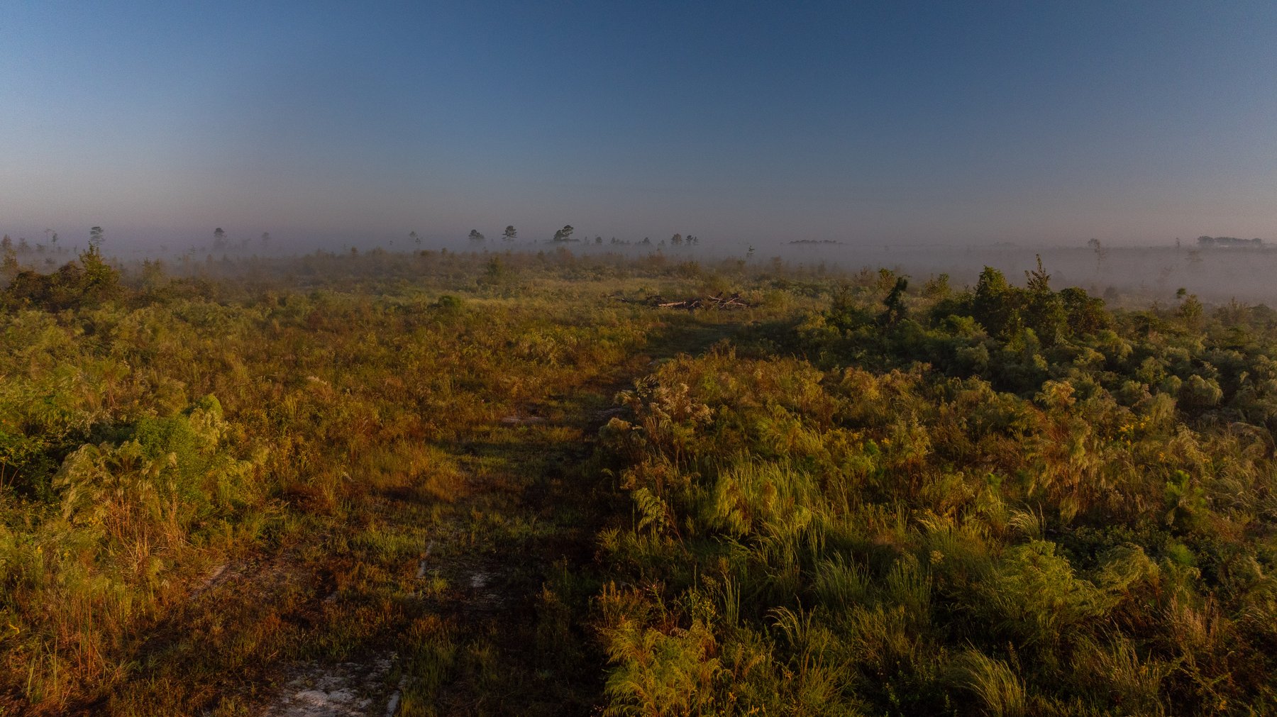 Image for Jamieson Place – 203+/- Acres - Recreational Investment Opportunity - Dodge County, Georgia