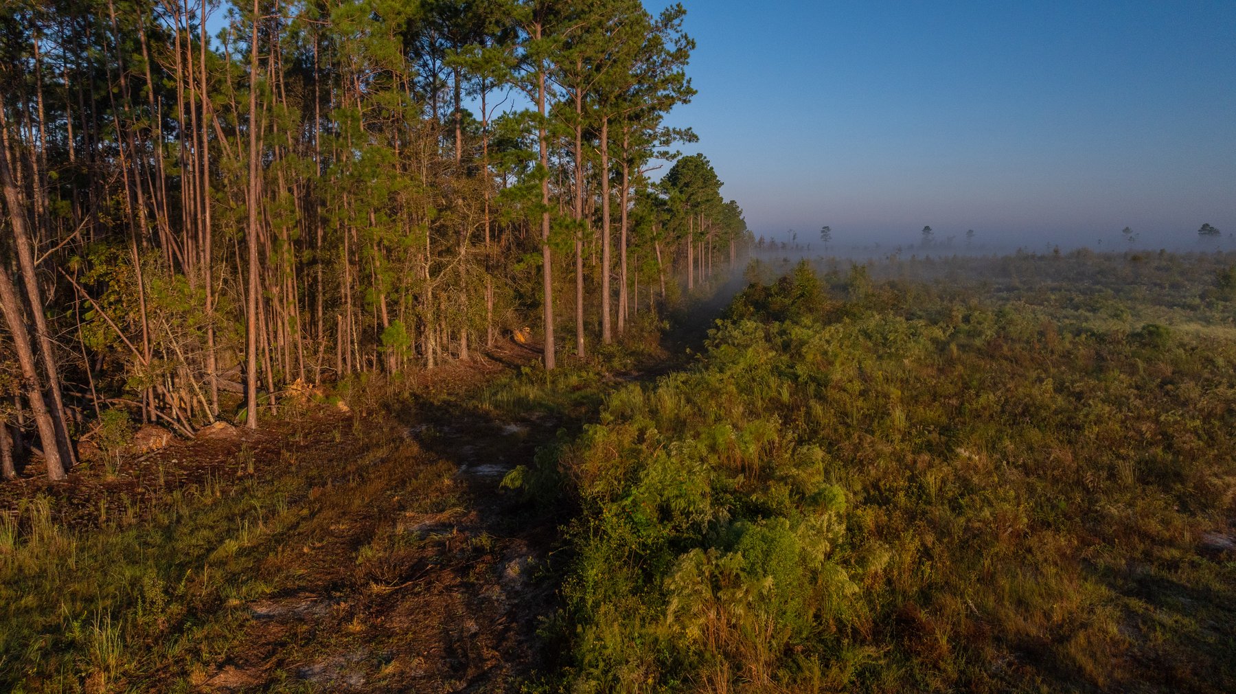 Image for Jamieson Place – 203+/- Acres - Recreational Investment Opportunity - Dodge County, Georgia